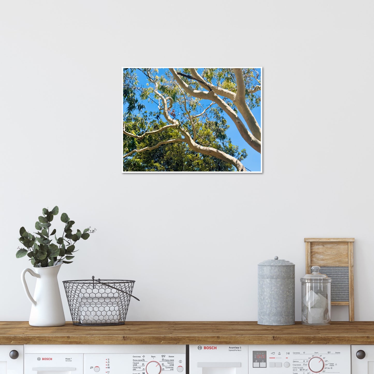 "The Dance of the Branches" - Fine Art Photography
