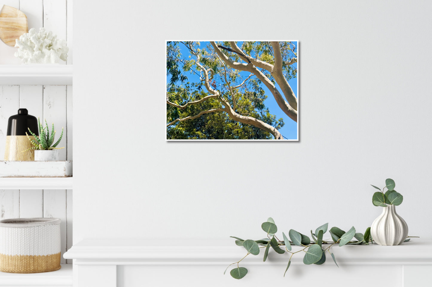 "The Dance of the Branches" - Fine Art Photography