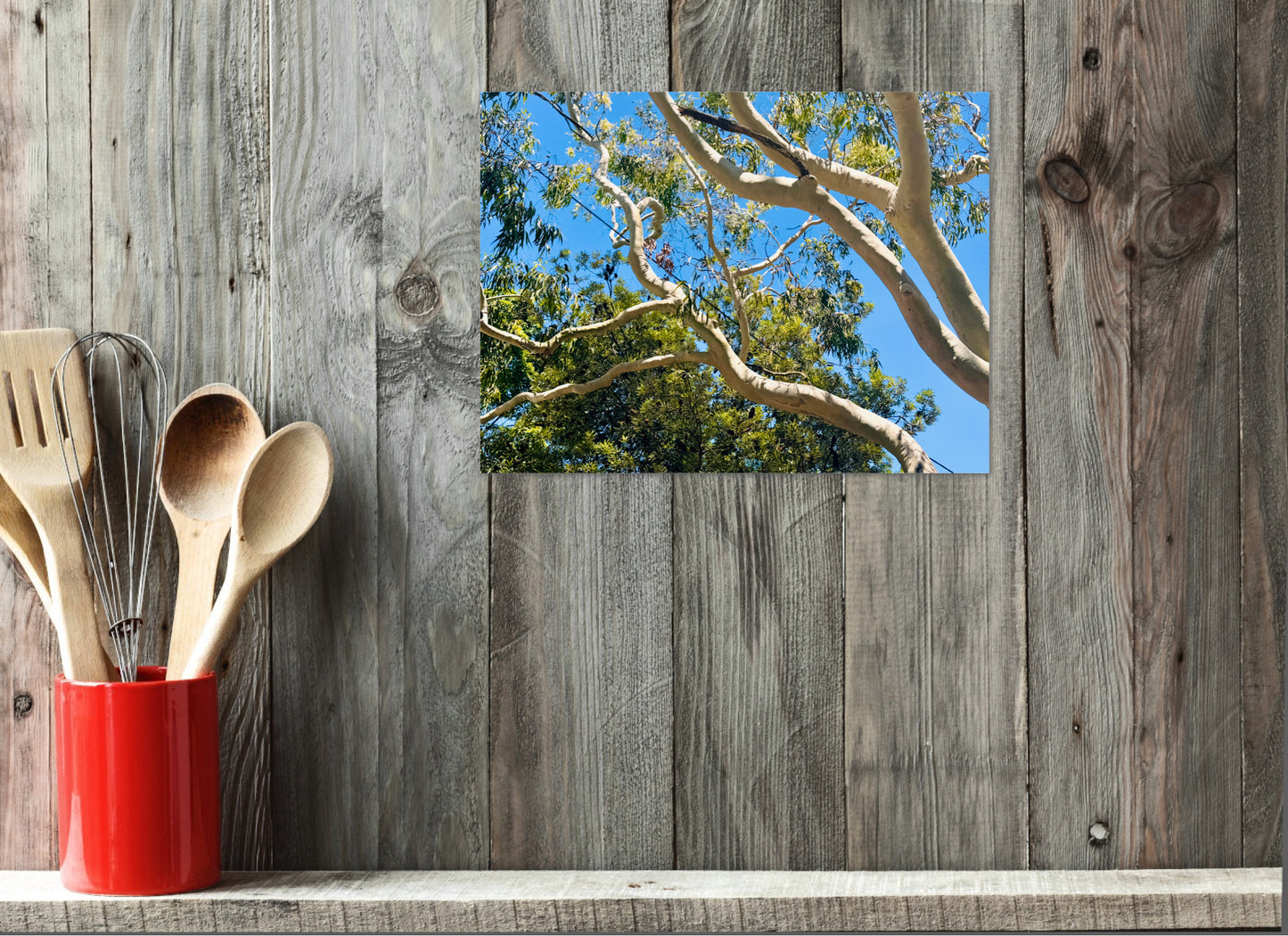 "The Dance of the Branches" - Fine Art Photography