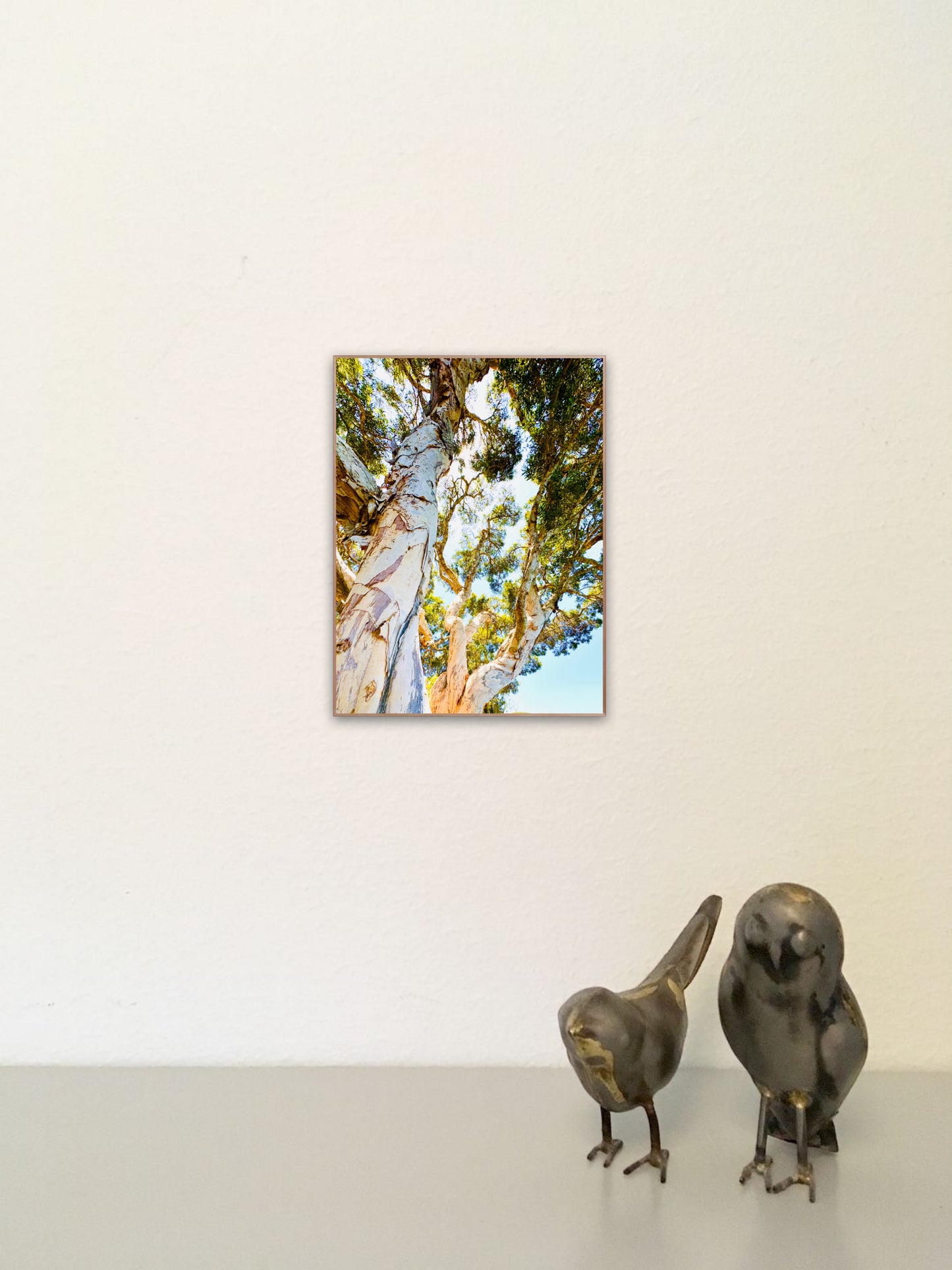 "Watching Beauty Unfold" Fine Art Photography
