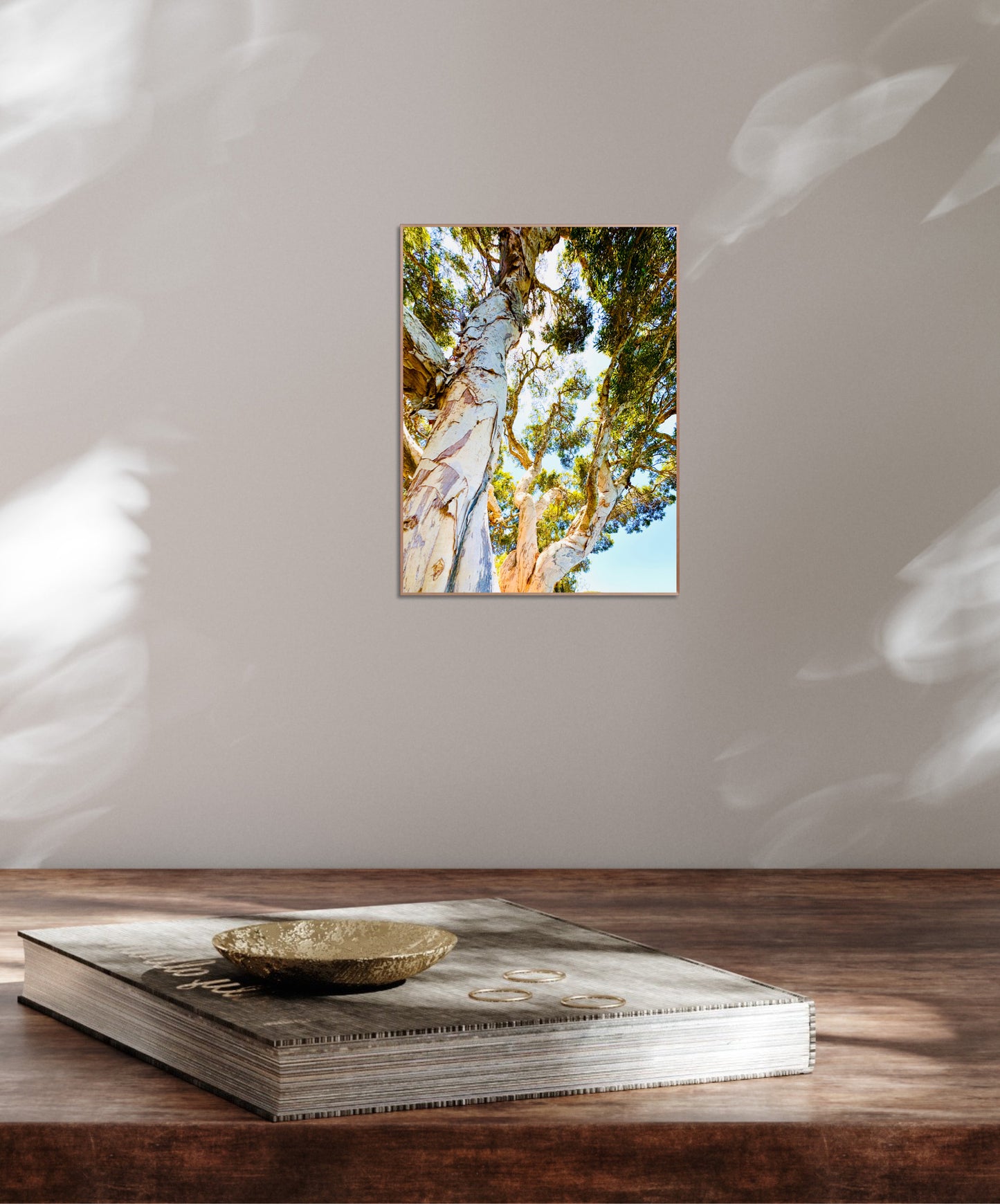"Watching Beauty Unfold" Fine Art Photography