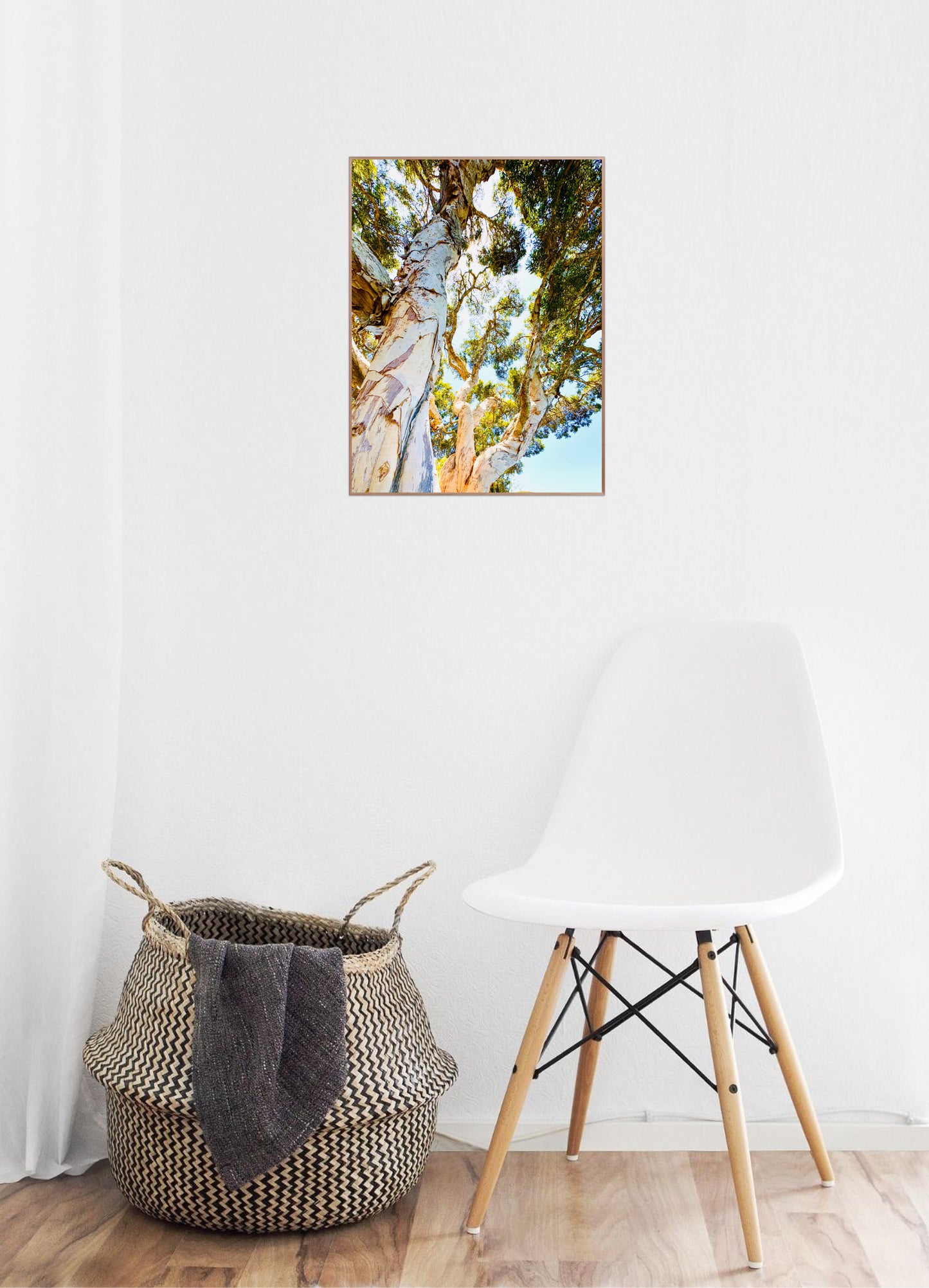 "Watching Beauty Unfold" Fine Art Photography