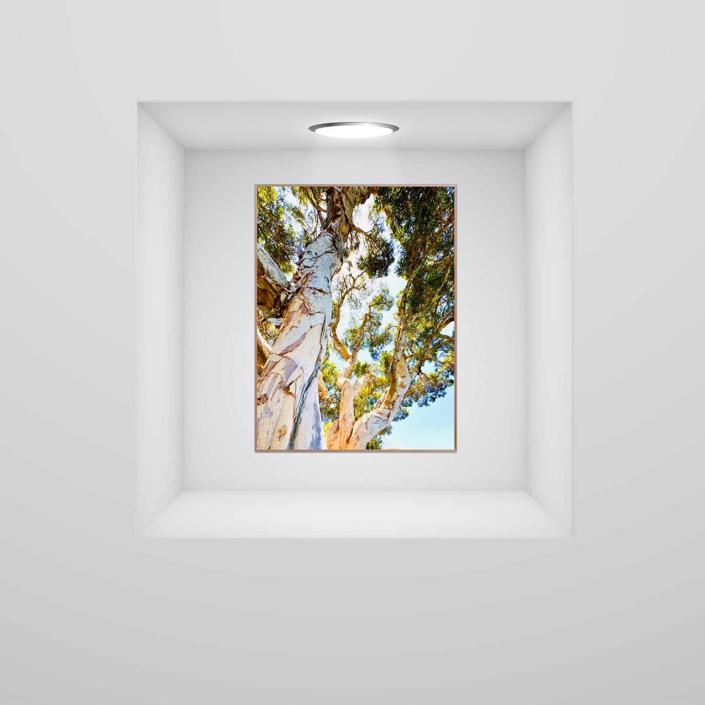 "Watching Beauty Unfold" Fine Art Photography