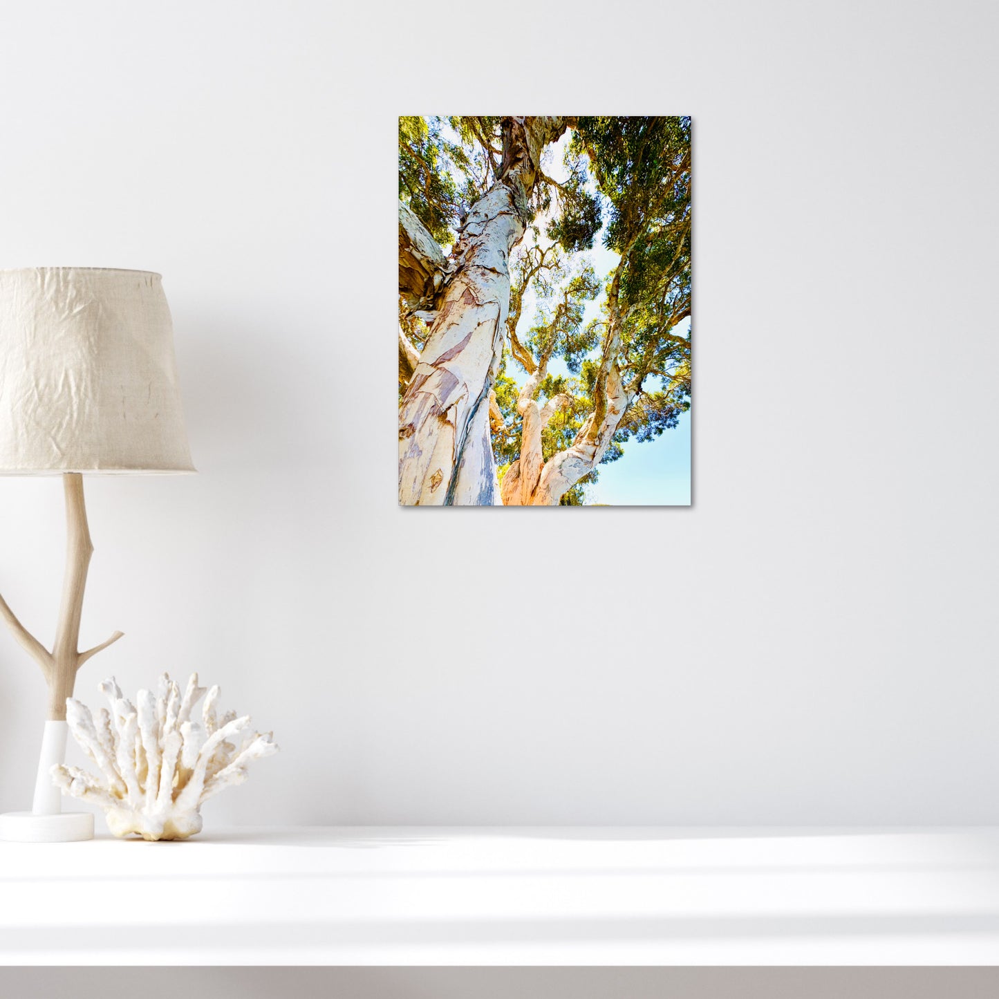 "Watching Beauty Unfold" Fine Art Photography