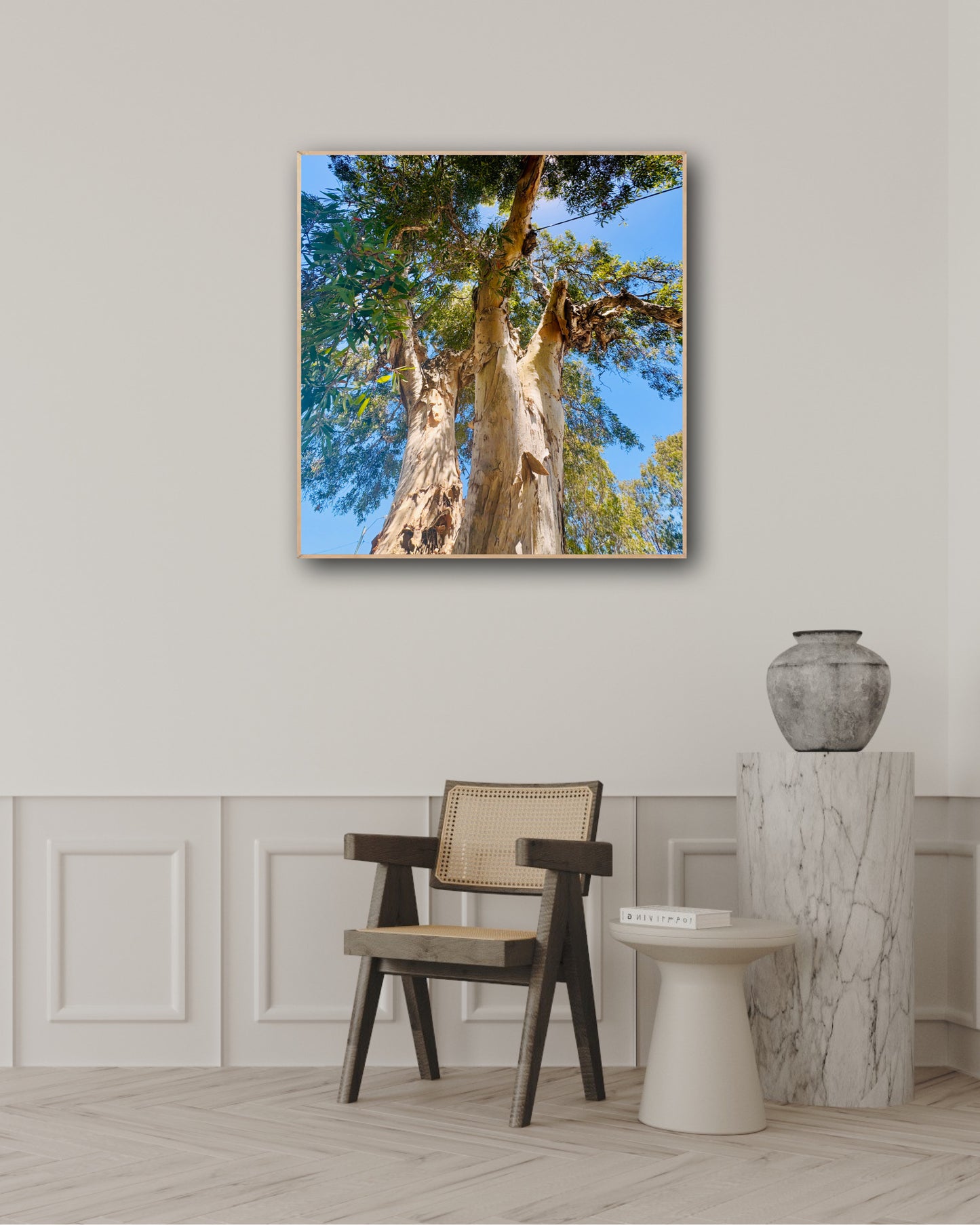 "Reaching for the Sky" Fine Art Photography