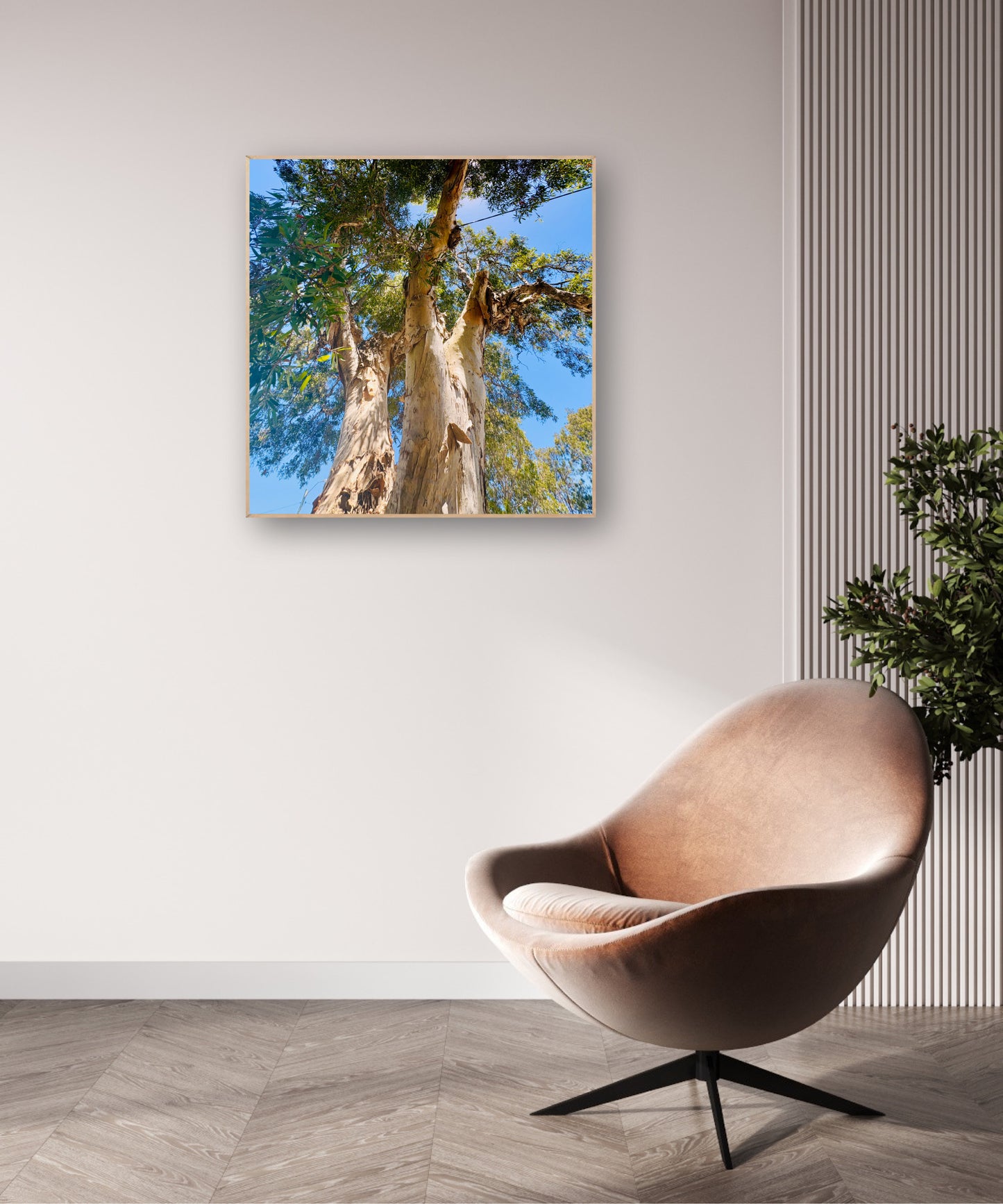 "Reaching for the Sky" Fine Art Photography