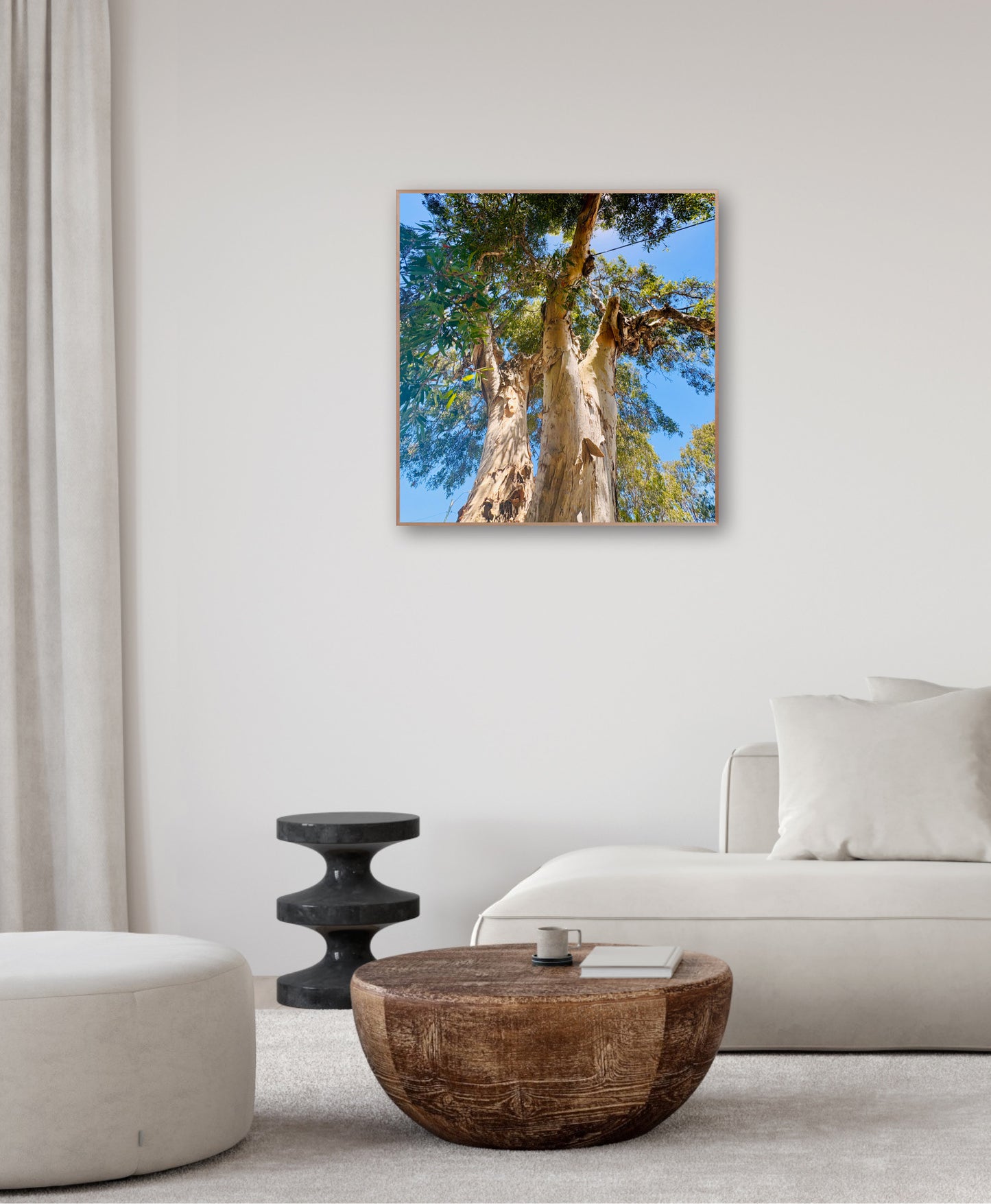 "Reaching for the Sky" Fine Art Photography