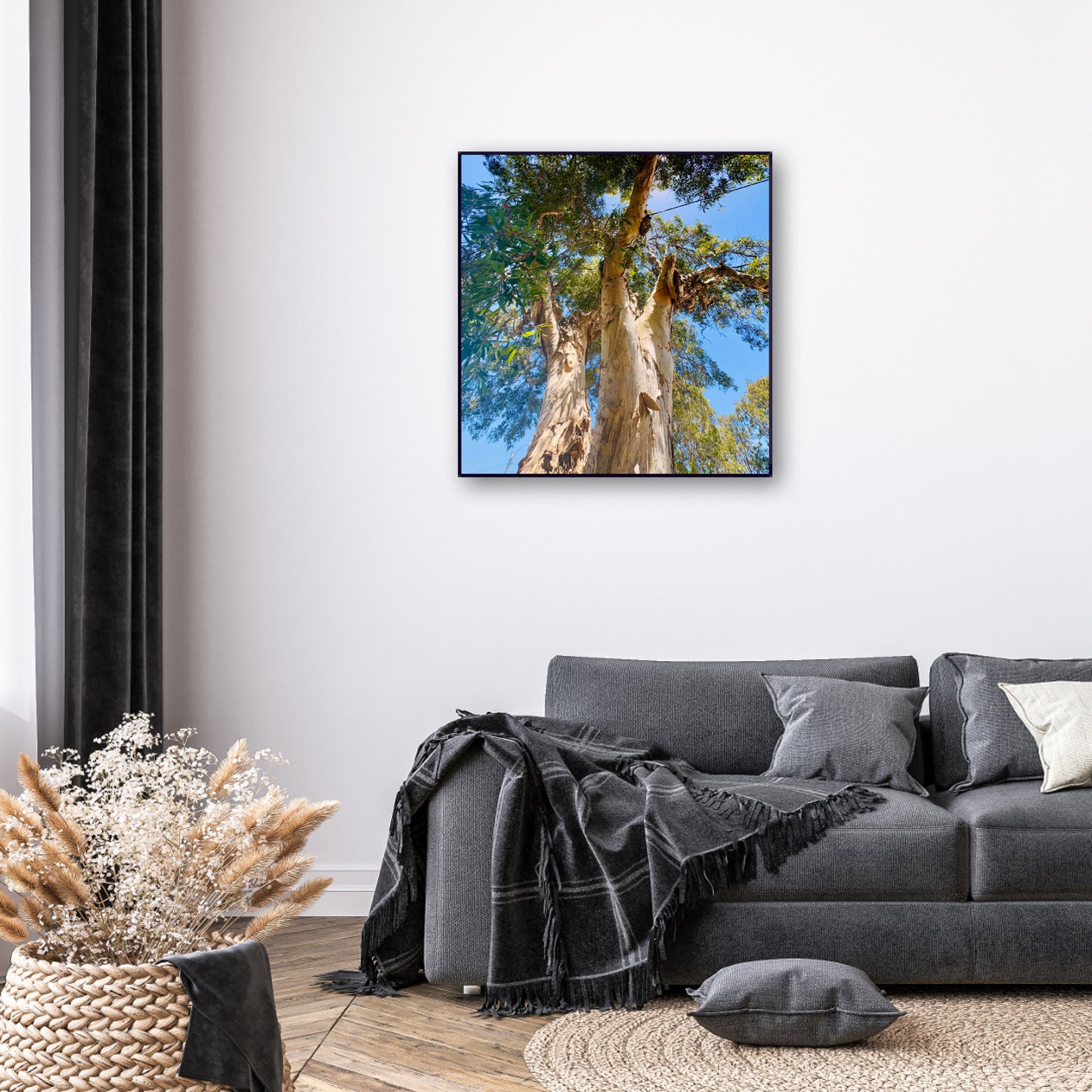 "Reaching for the Sky" Fine Art Photography