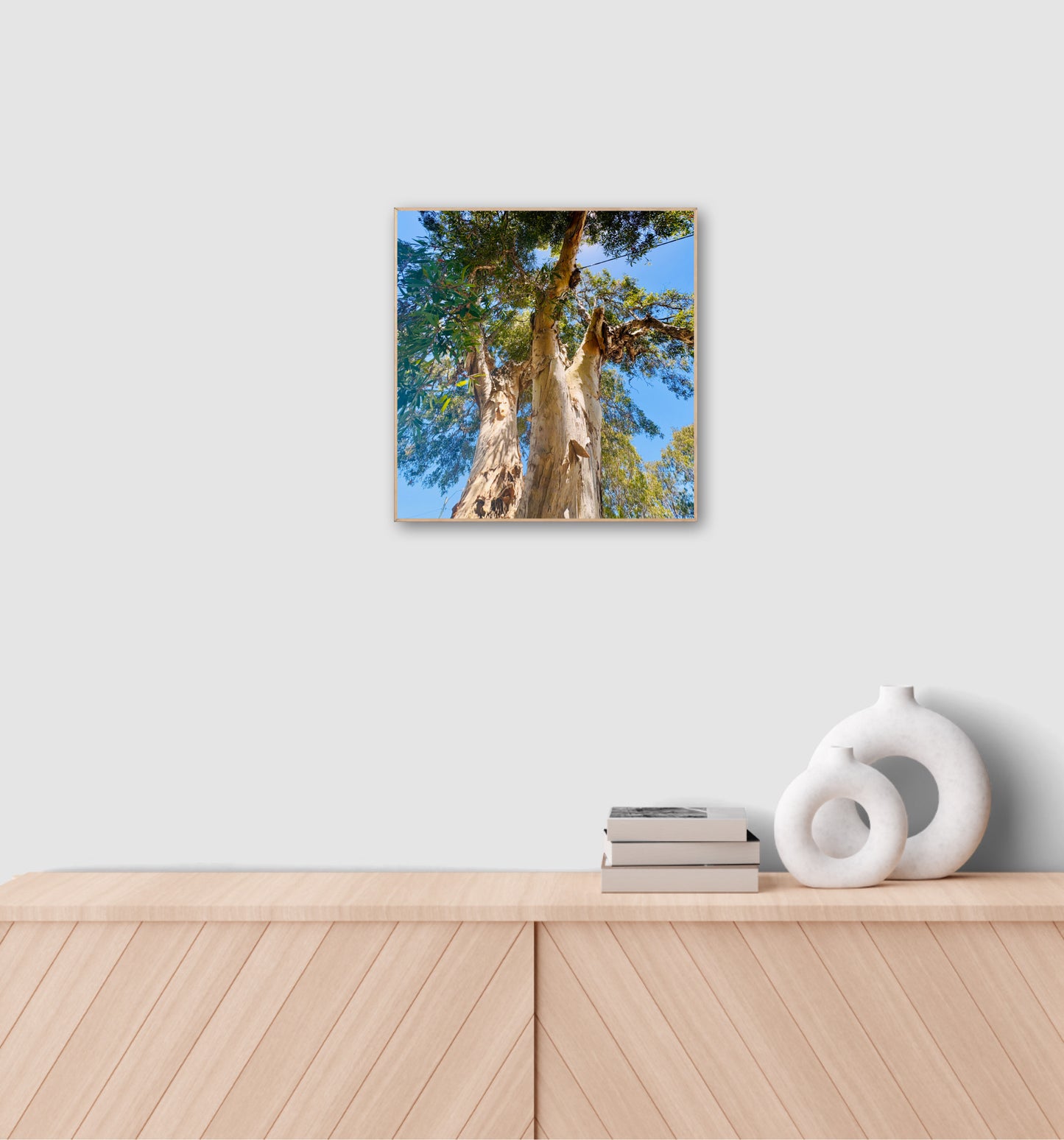 "Reaching for the Sky" Fine Art Photography