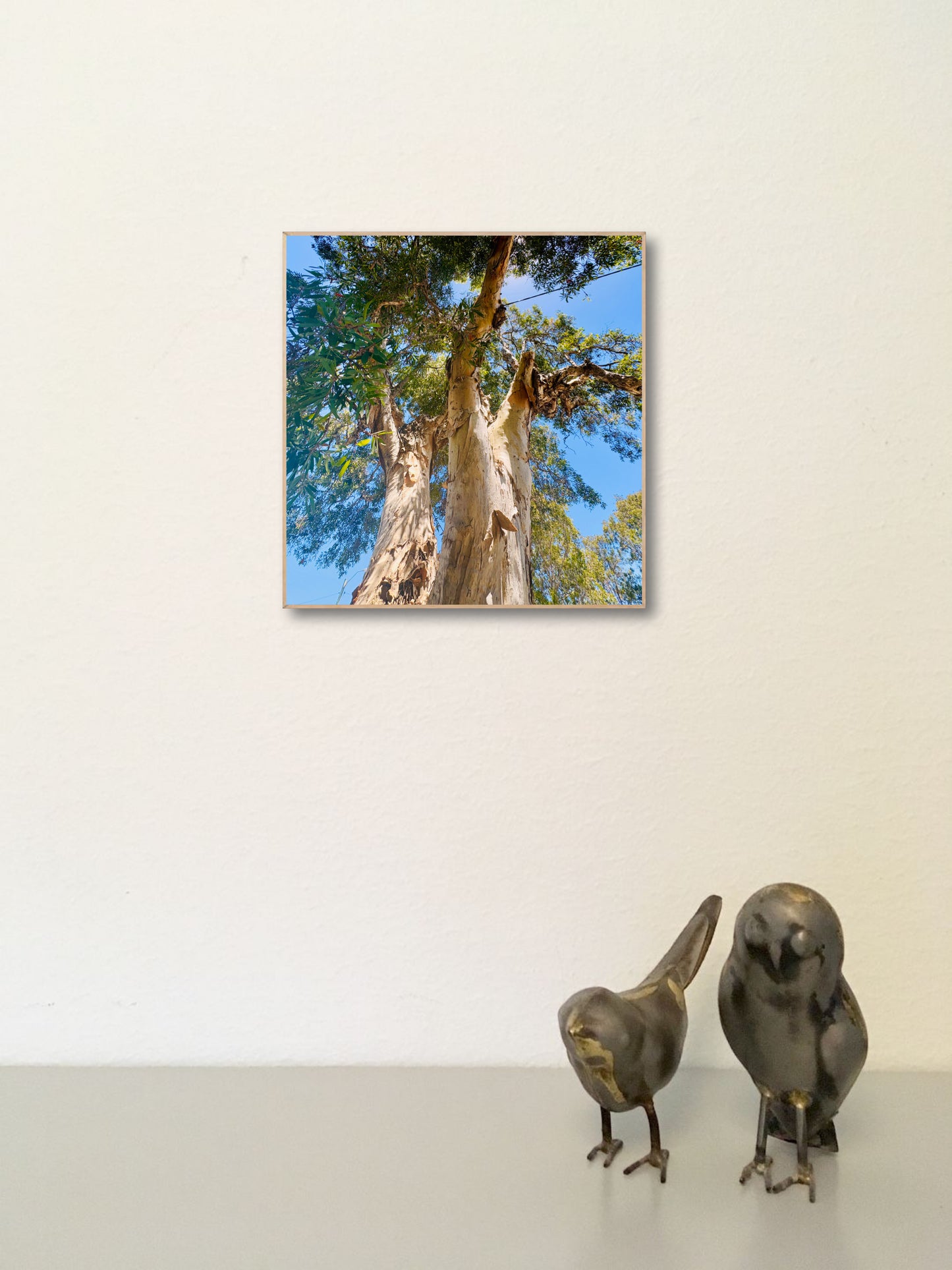 "Reaching for the Sky" Fine Art Photography