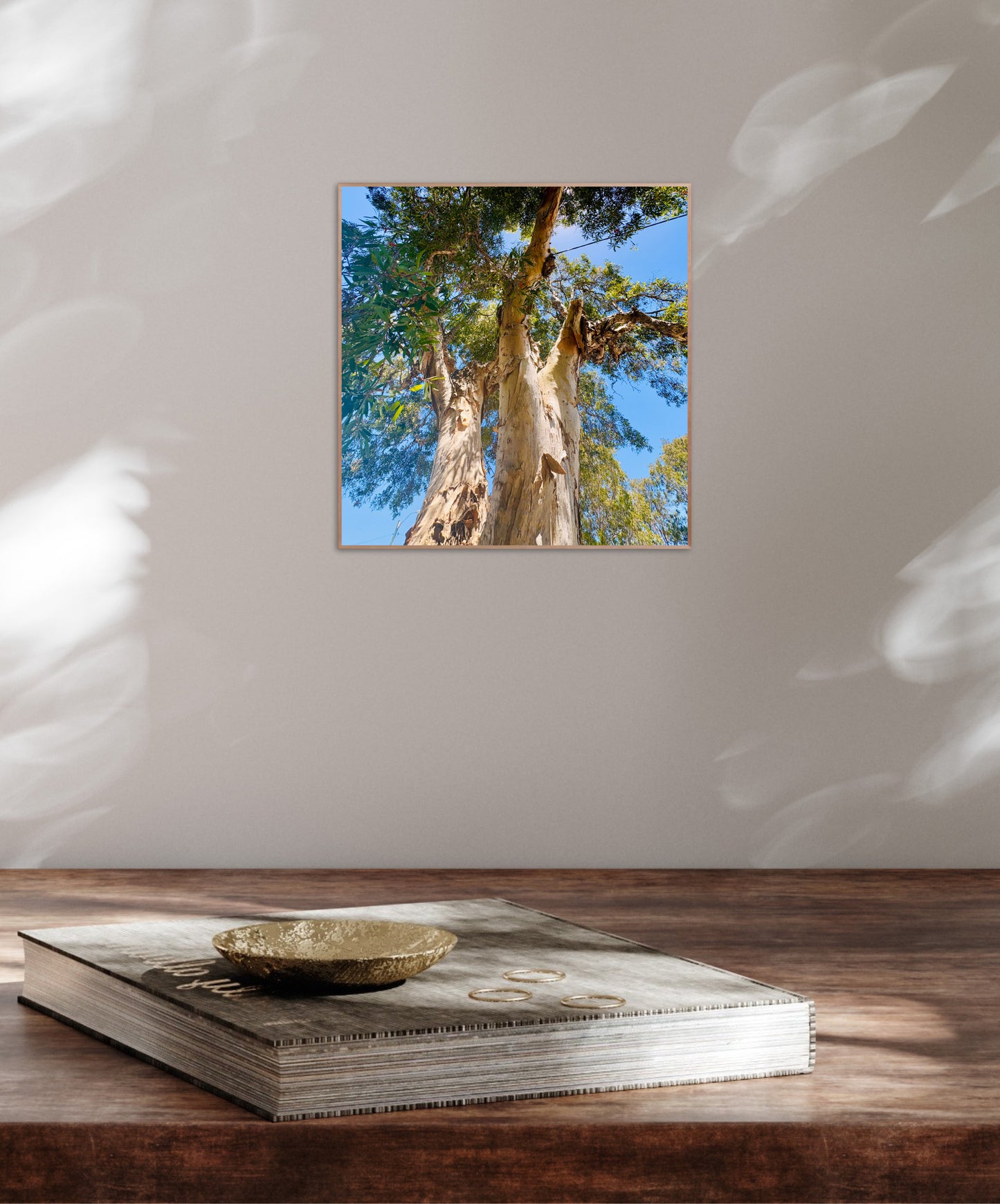 "Reaching for the Sky" Fine Art Photography