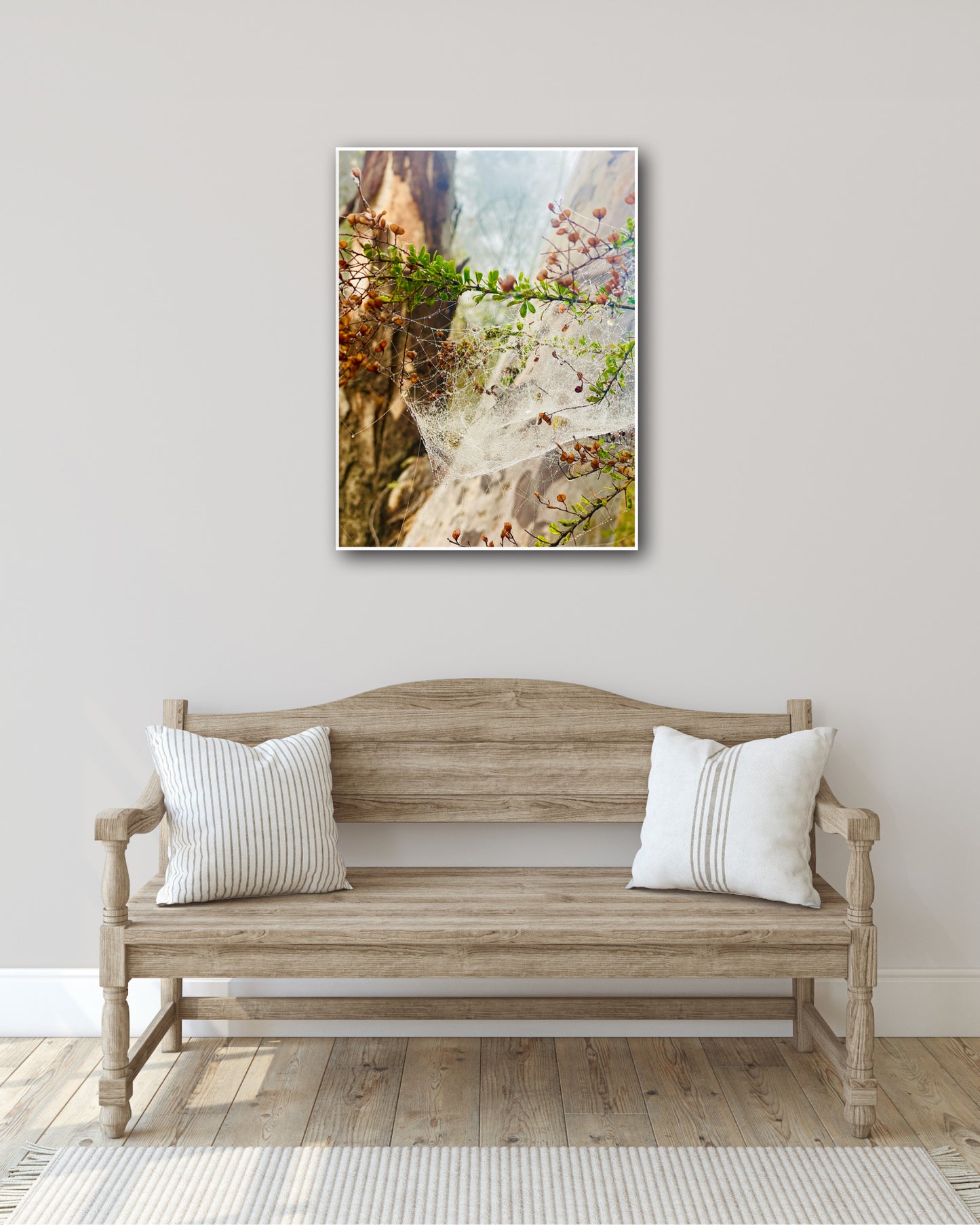 "Web of Wonders" Fine Art Photography