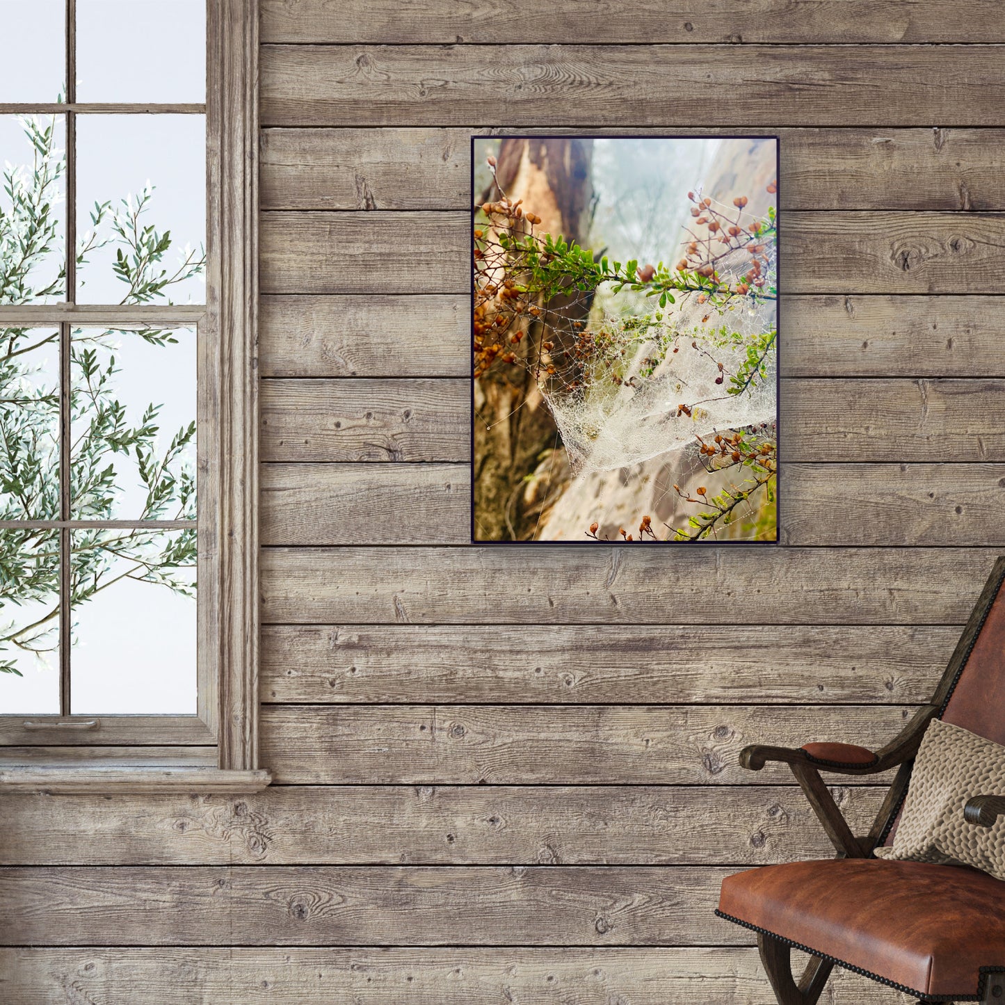"Web of Wonders" Fine Art Photography
