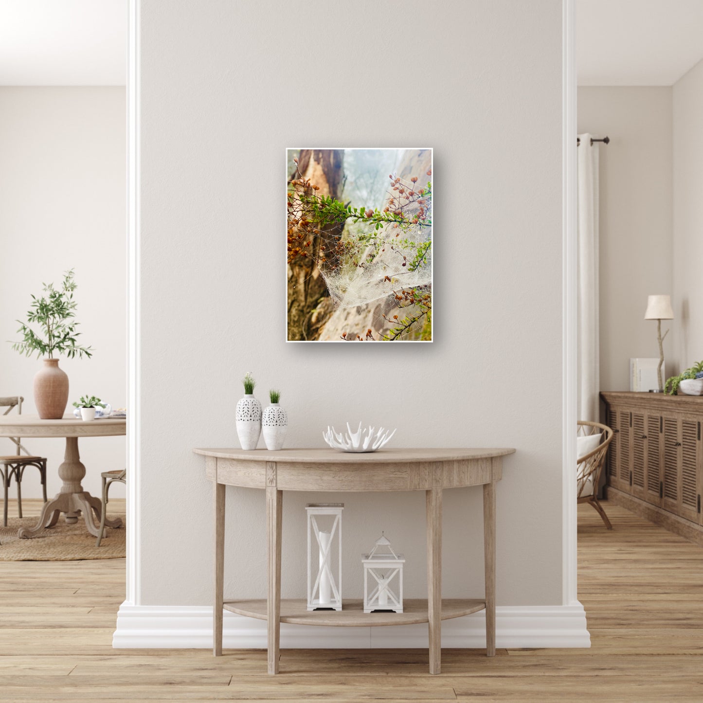 "Web of Wonders" Fine Art Photography
