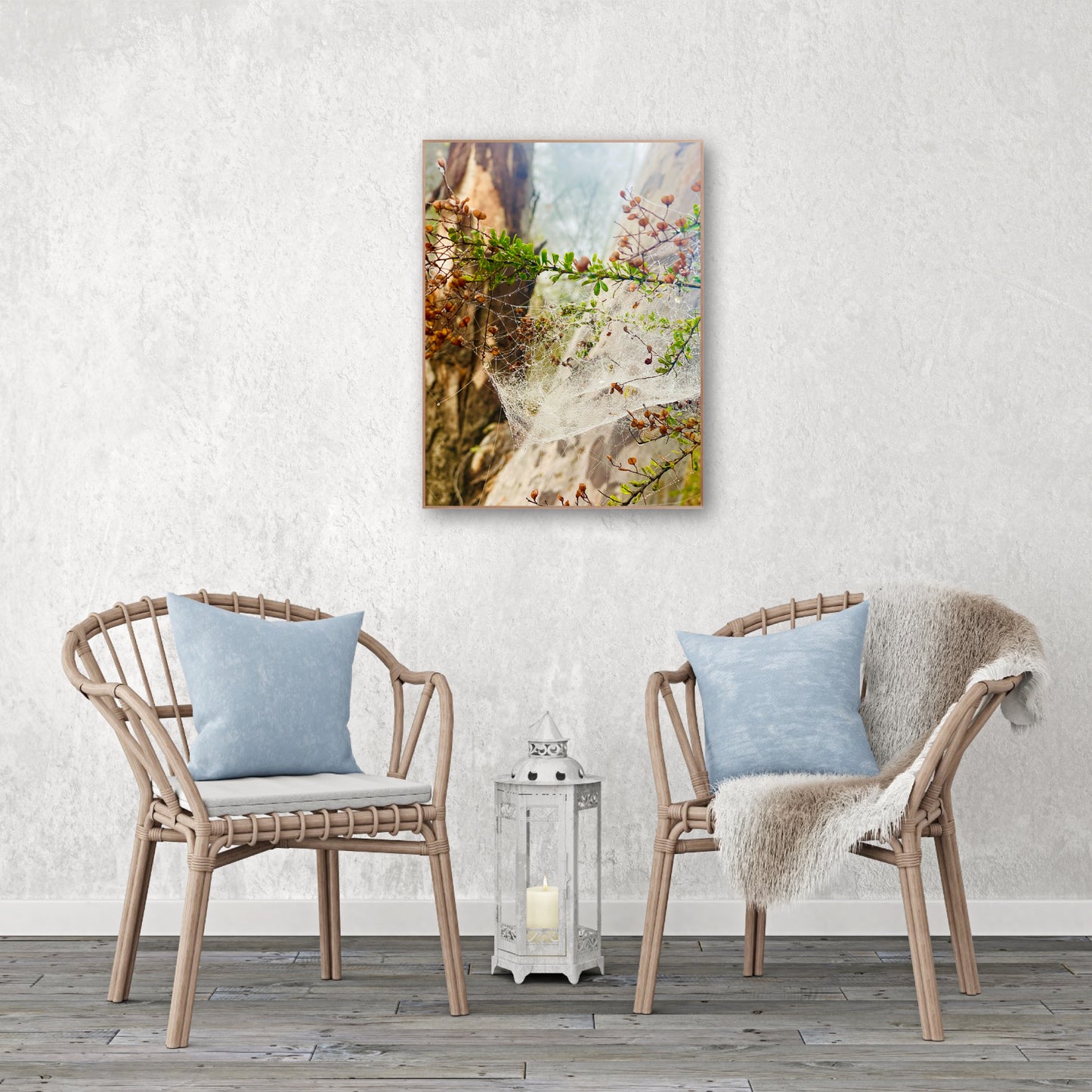 "Web of Wonders" Fine Art Photography