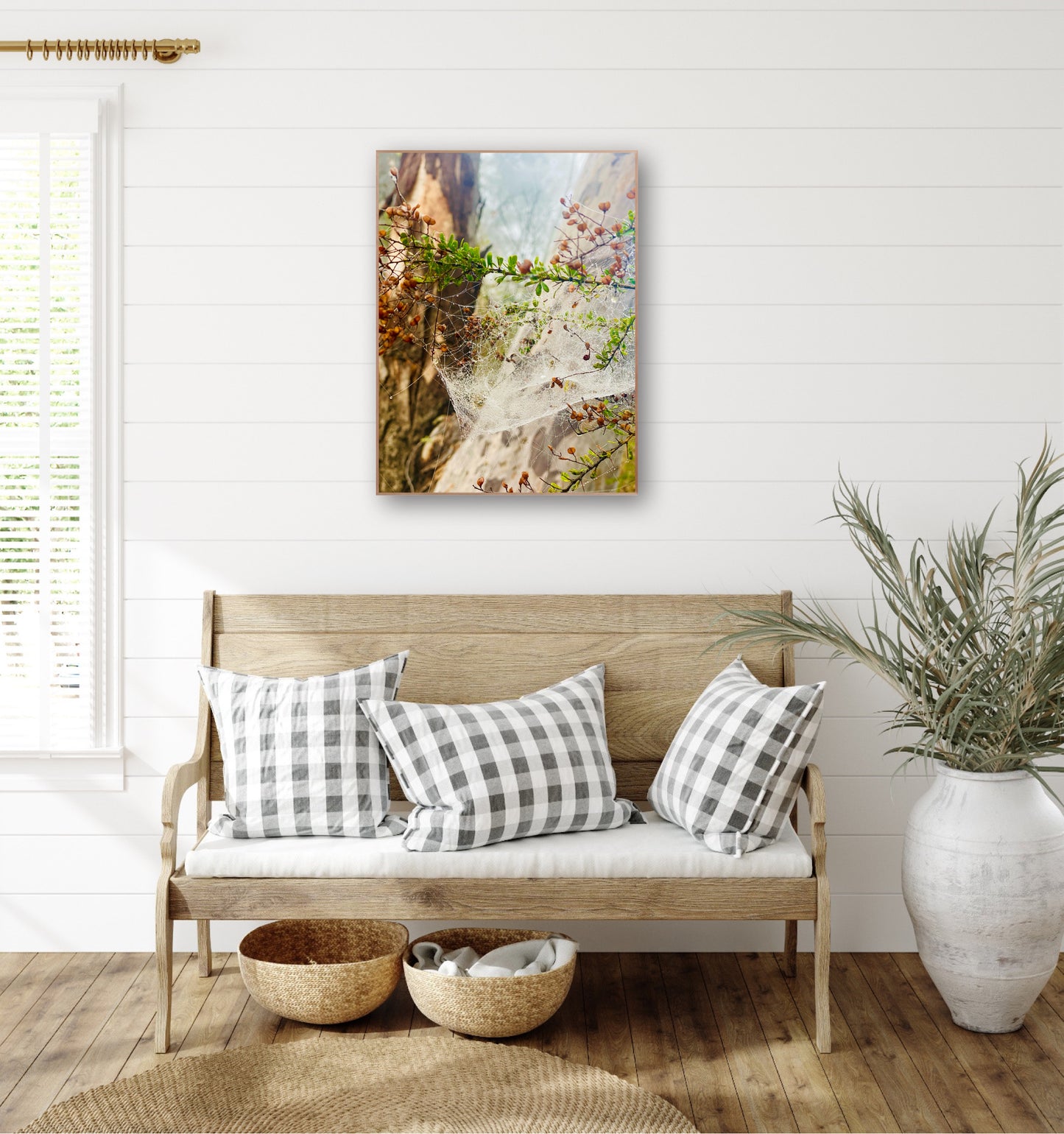 "Web of Wonders" Fine Art Photography