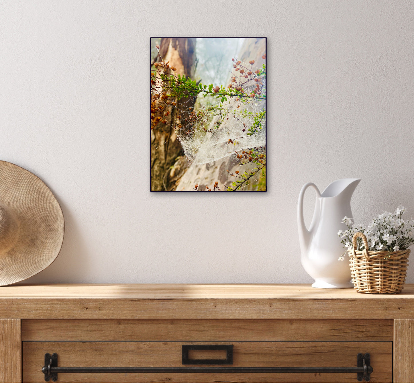 "Web of Wonders" Fine Art Photography