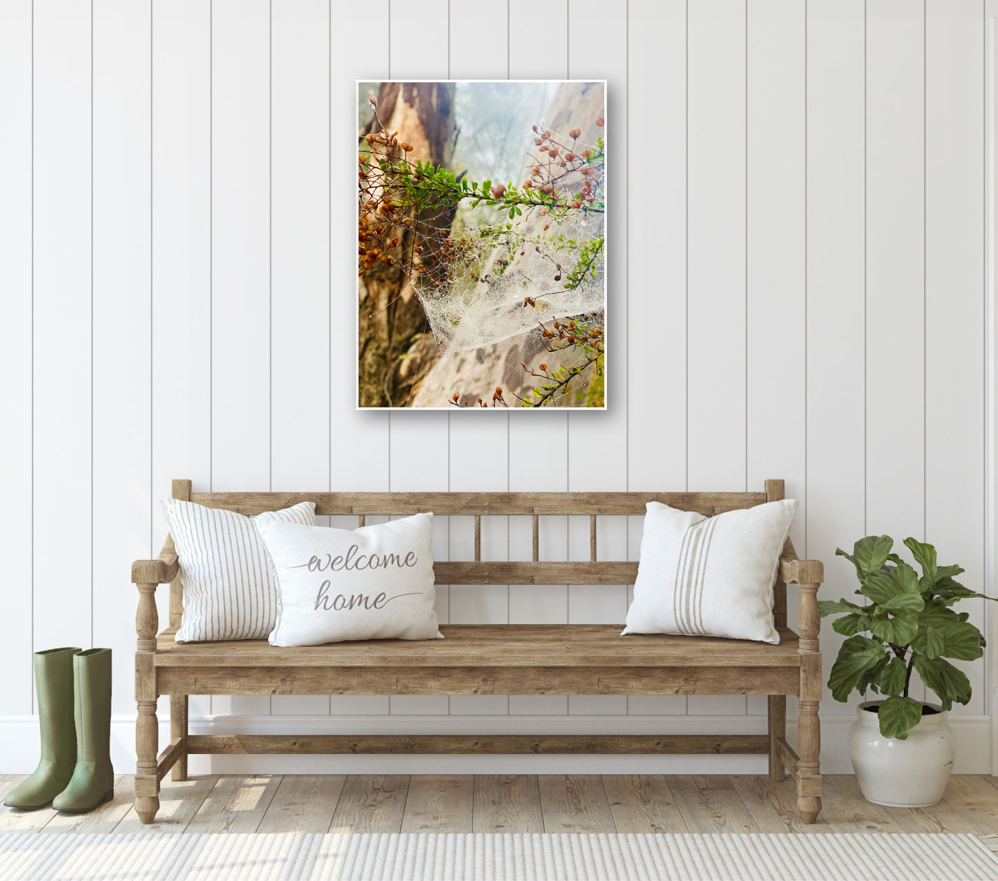 "Web of Wonders" Fine Art Photography