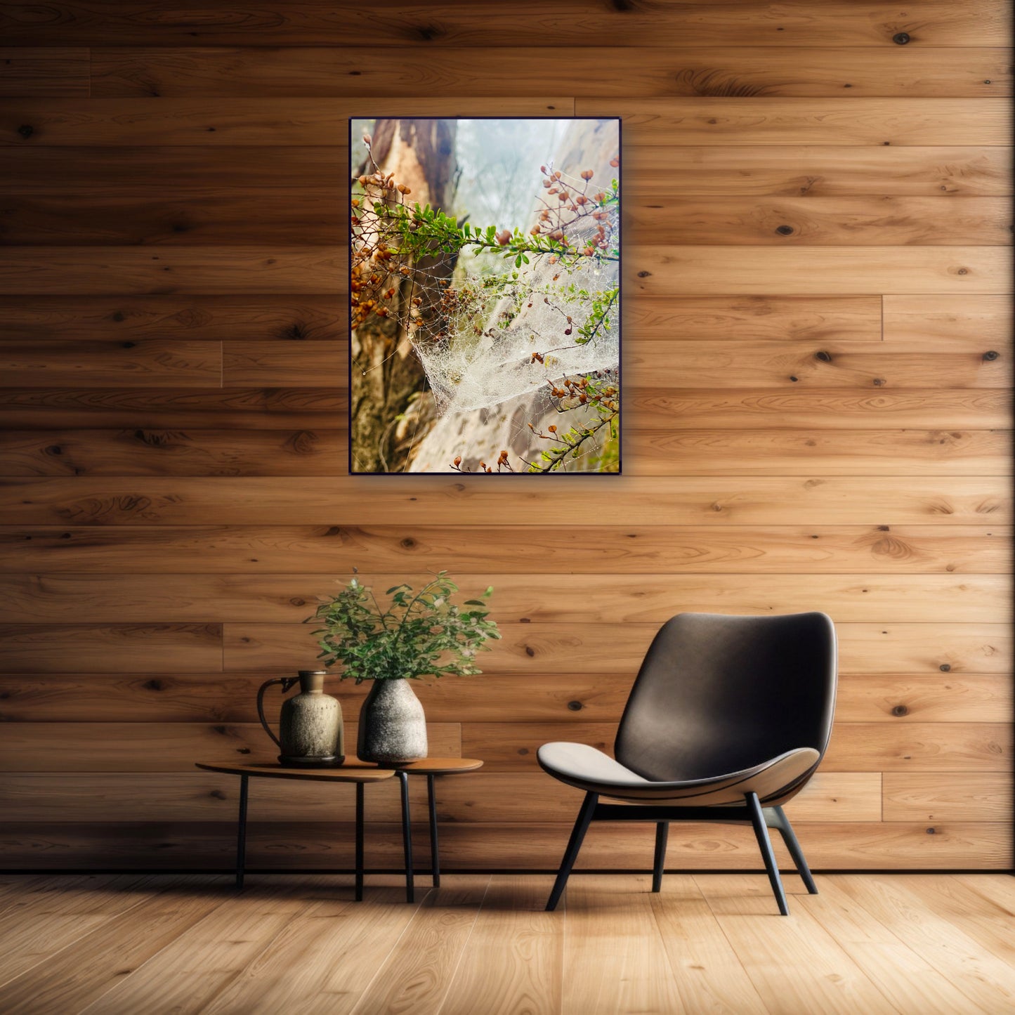 "Web of Wonders" Fine Art Photography