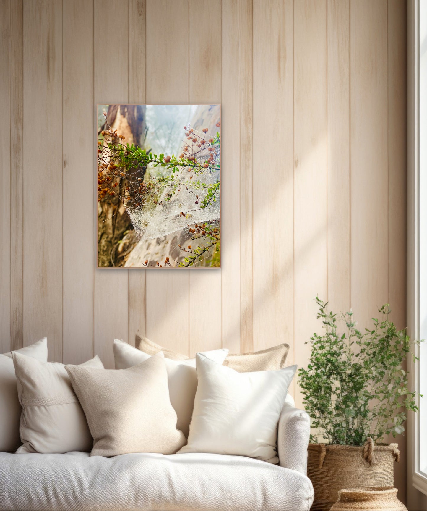 "Web of Wonders" Fine Art Photography