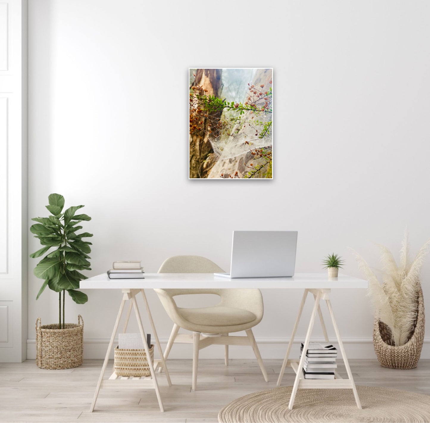 "Web of Wonders" Fine Art Photography