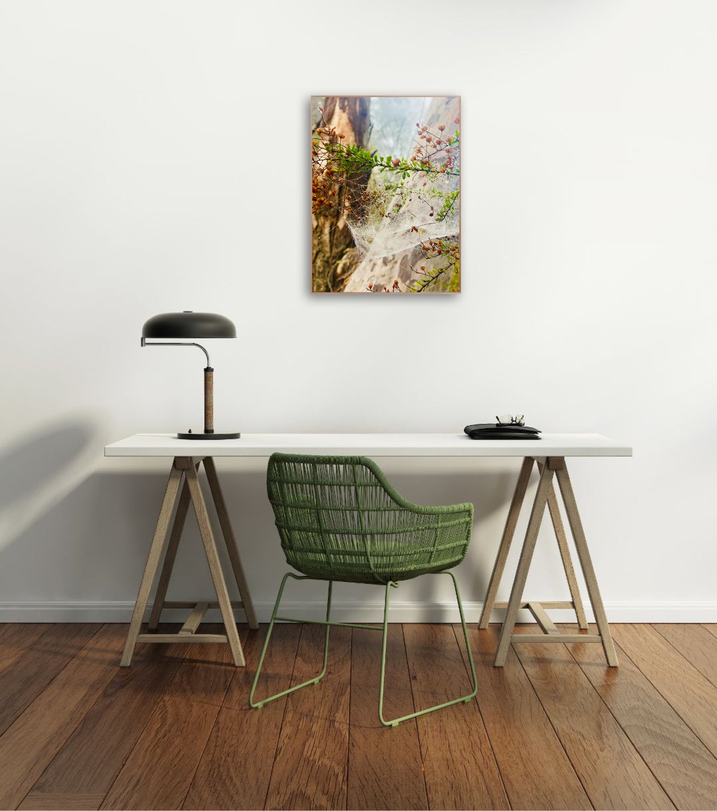 "Web of Wonders" Fine Art Photography