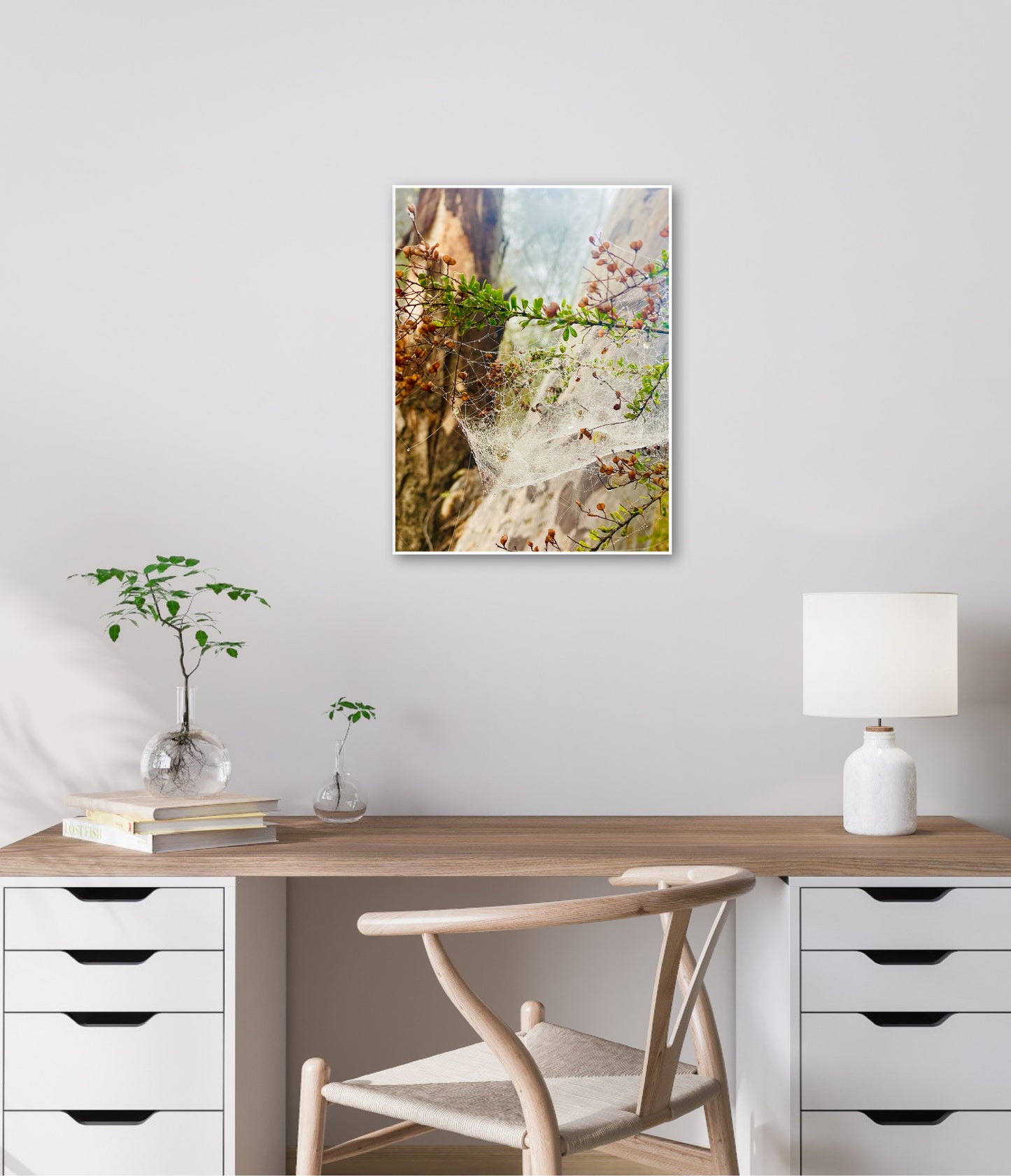 "Web of Wonders" Fine Art Photography