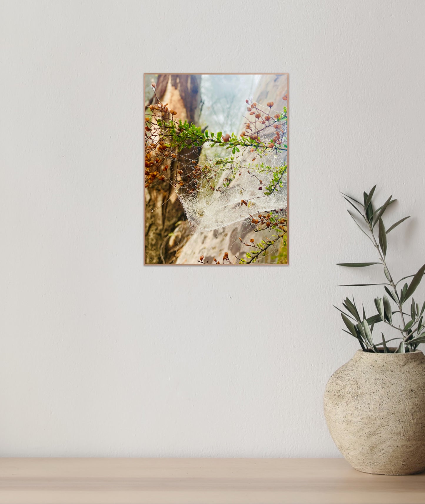 "Web of Wonders" Fine Art Photography