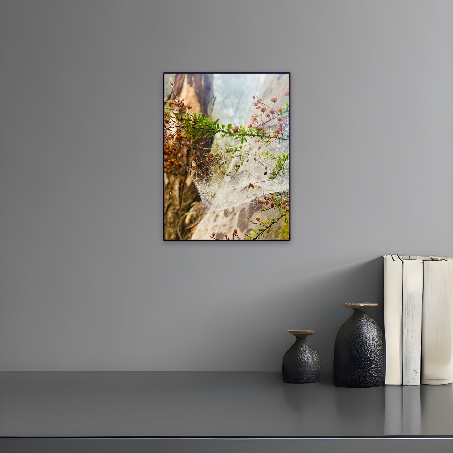 "Web of Wonders" Fine Art Photography