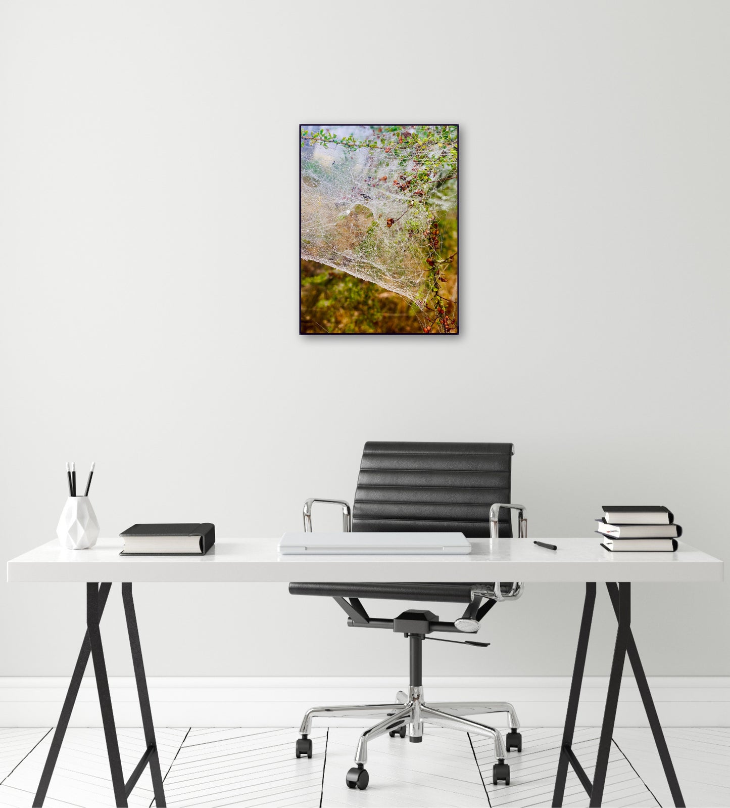 "Delicate Strength" Fine Art Photography