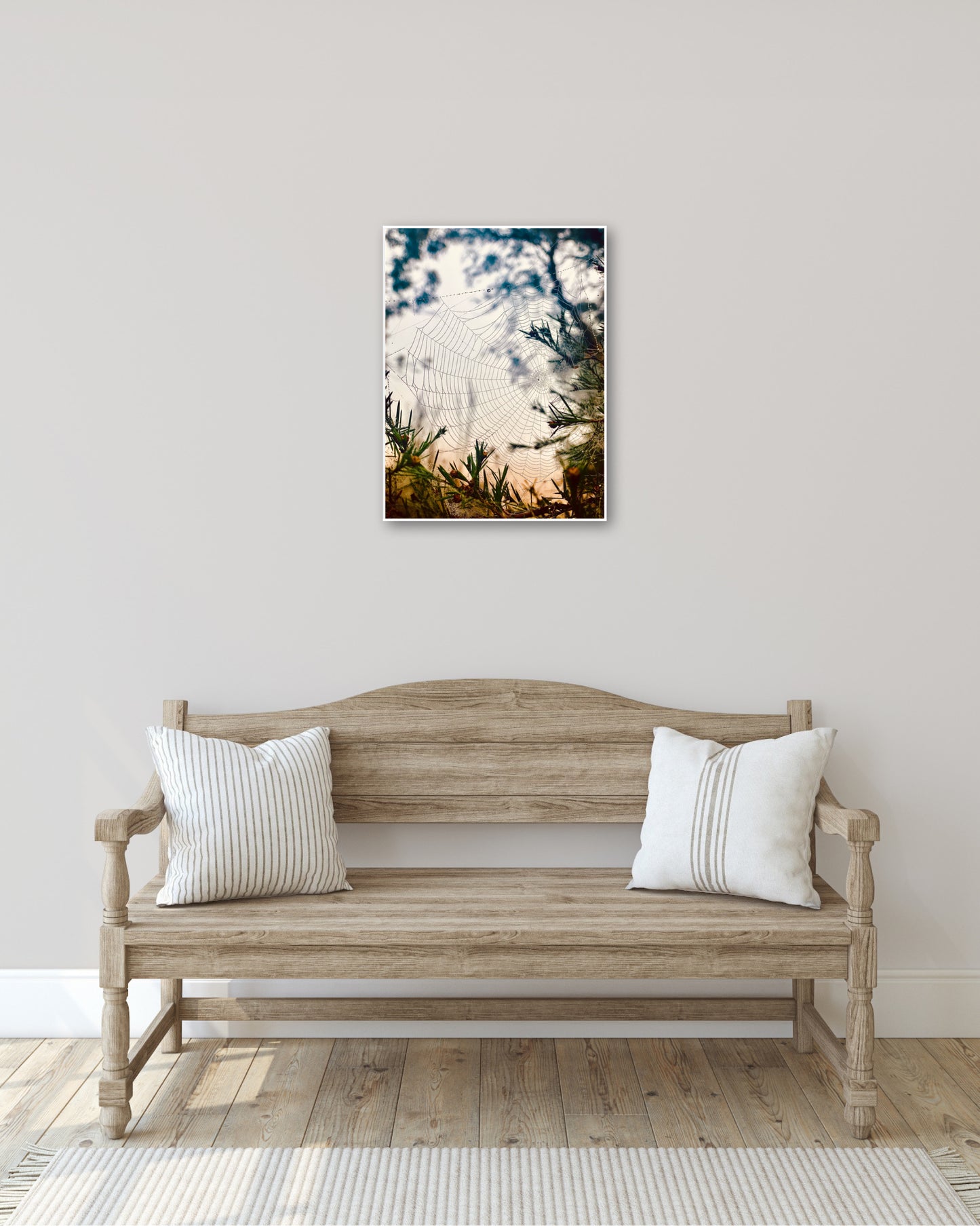 "Woven in the Wilderness" Fine Art Photography