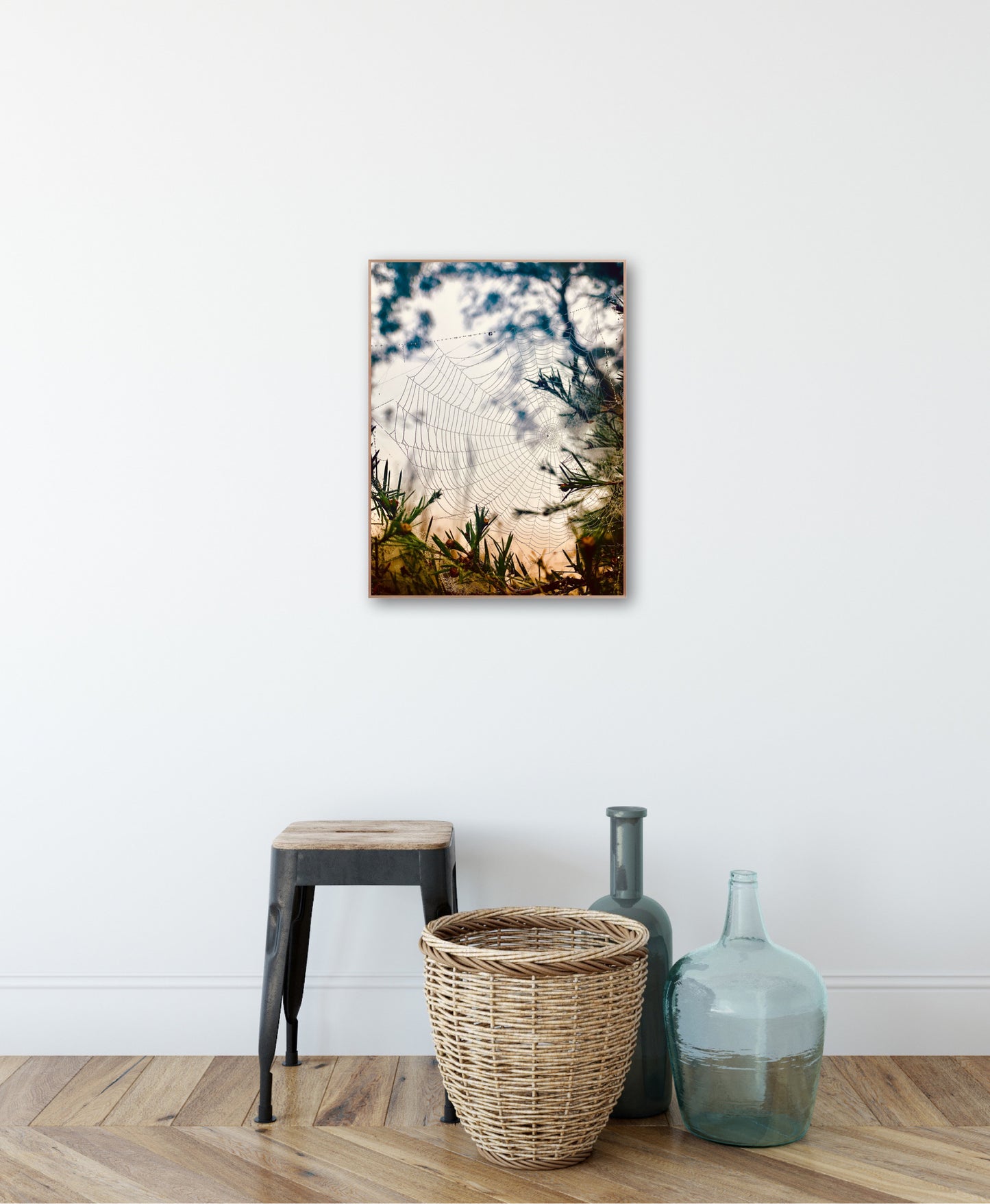 "Woven in the Wilderness" Fine Art Photography