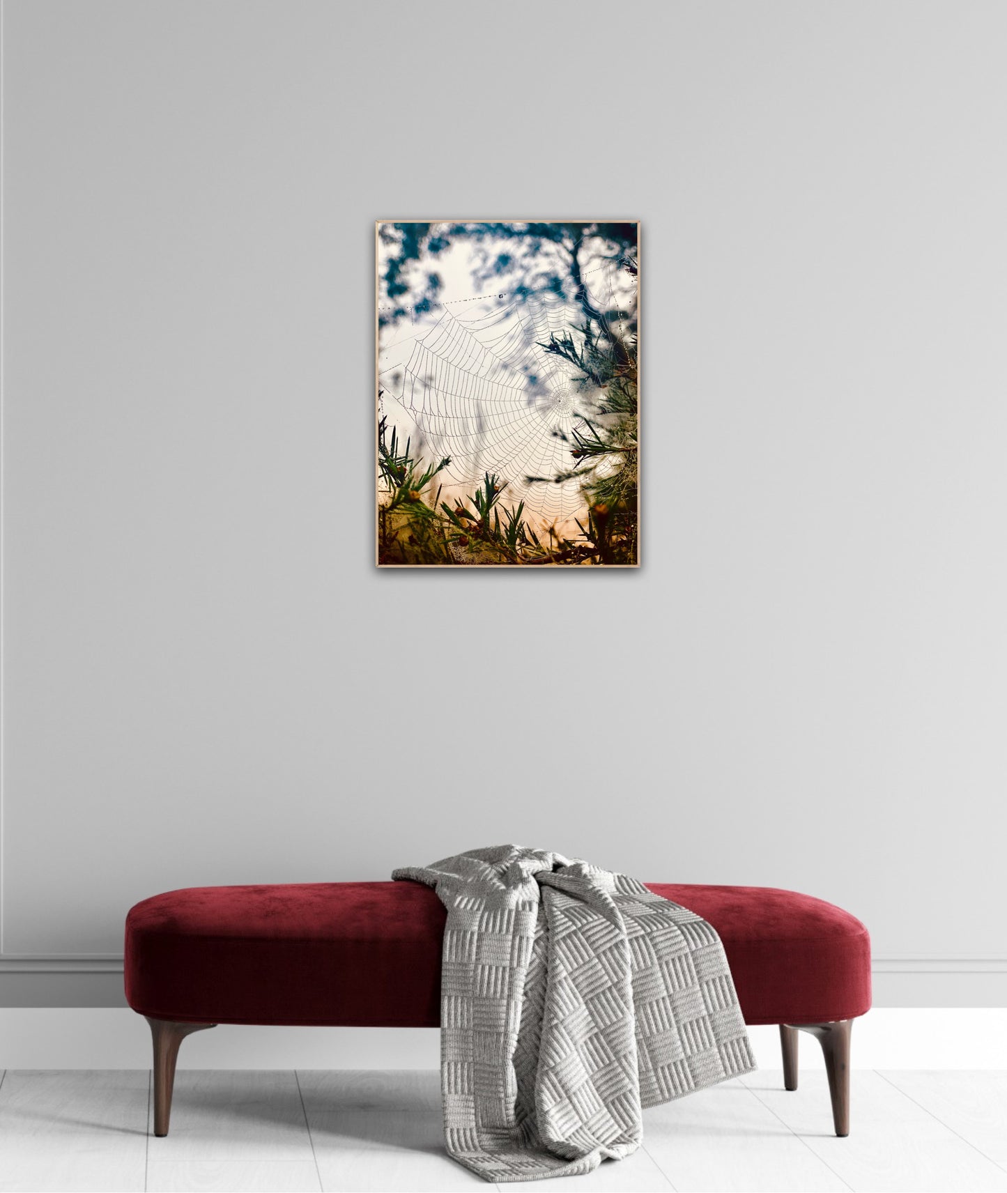 "Woven in the Wilderness" Fine Art Photography