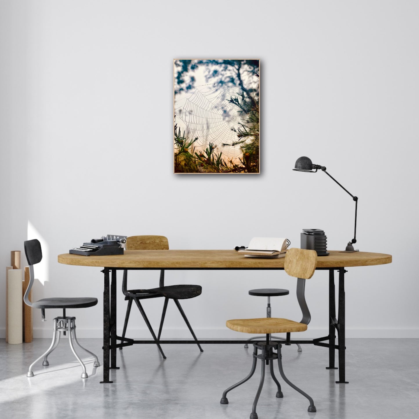 "Woven in the Wilderness" Fine Art Photography