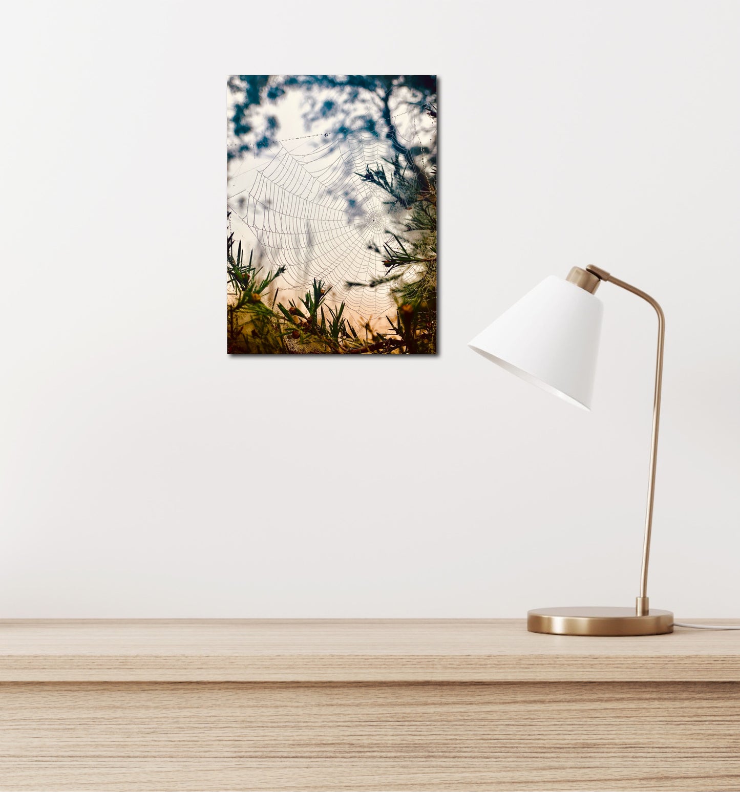 "Woven in the Wilderness" Fine Art Photography