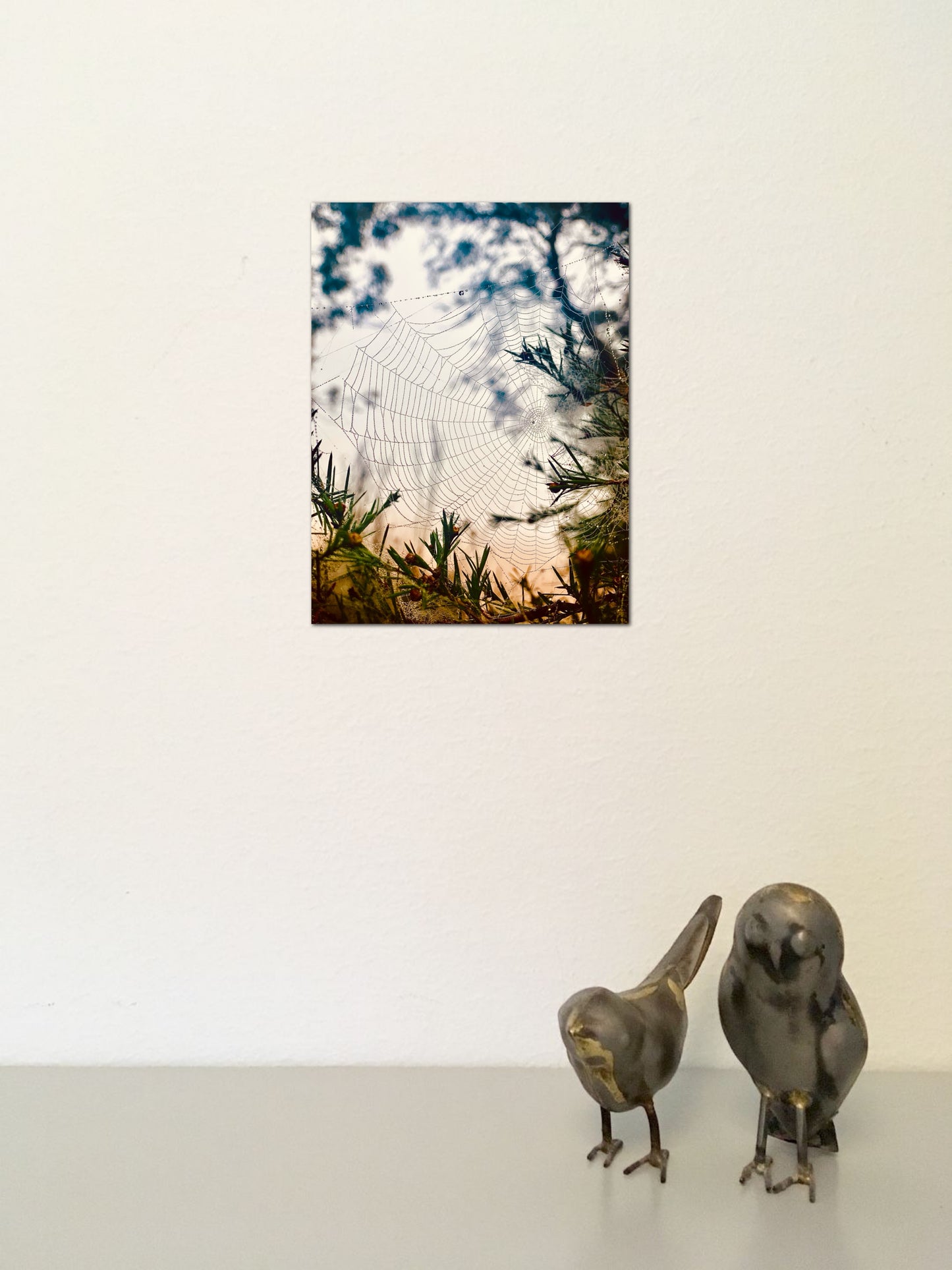 "Woven in the Wilderness" Fine Art Photography