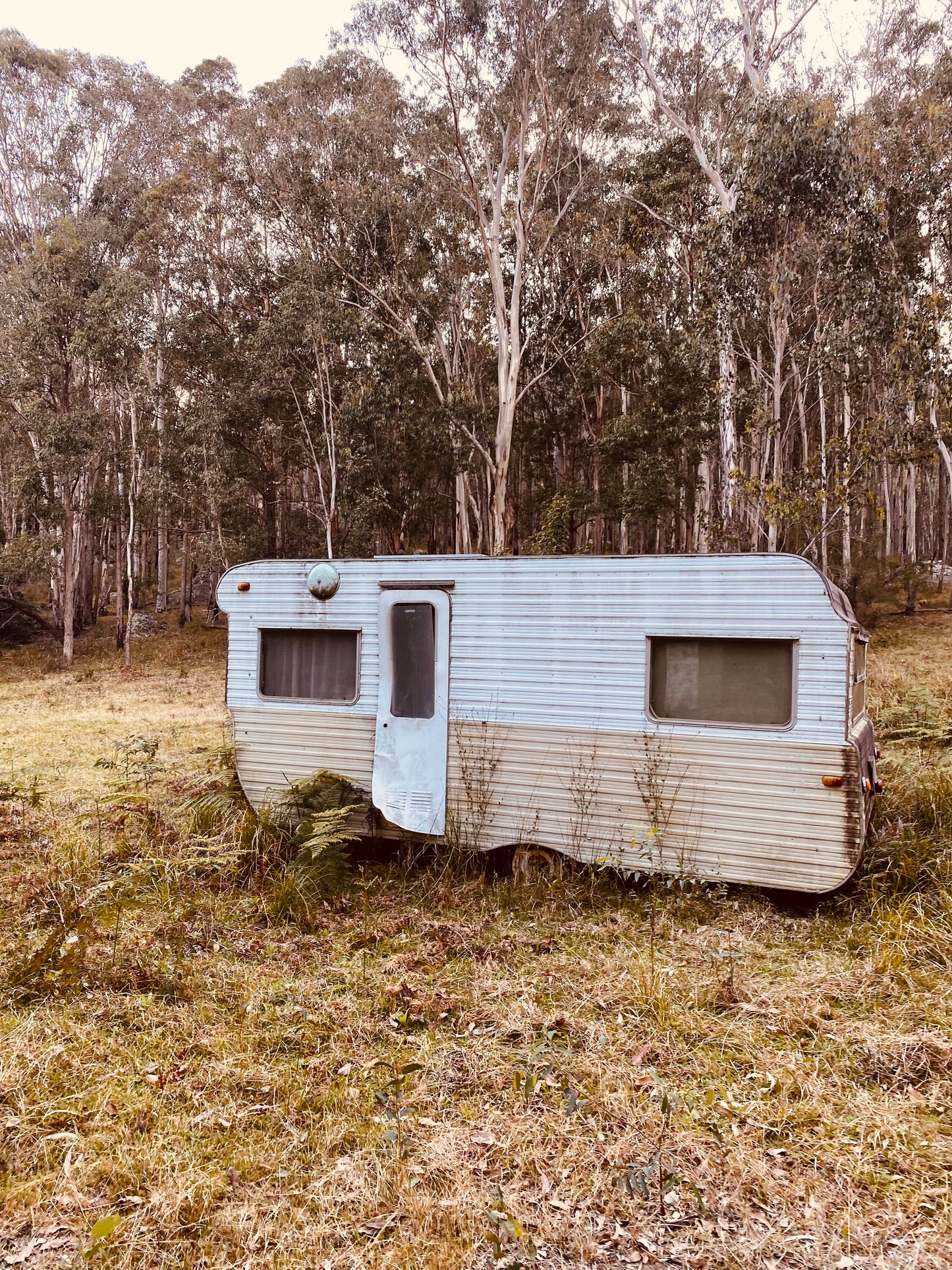 "Abandoned Wanderer" Fine Art Photography
