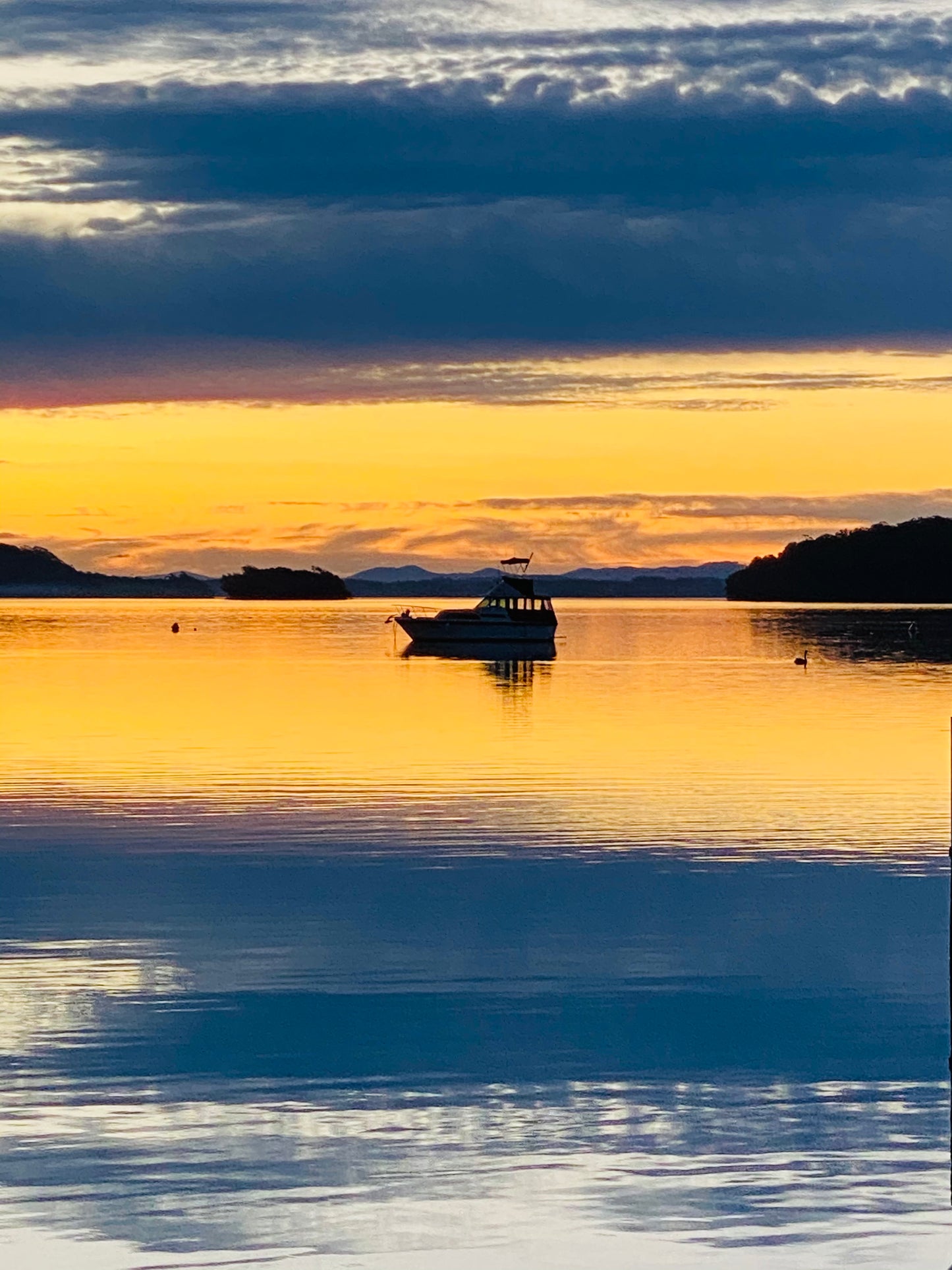 "A Symphony in Gold" Fine Art Photography