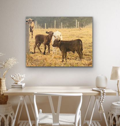 Countryside Serenade: Capturing Rural Delight