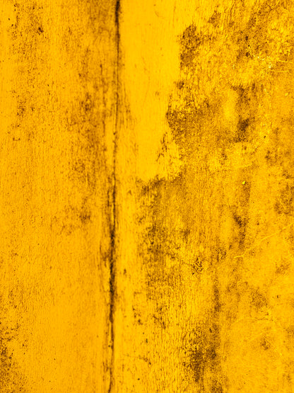 "Ethereal Touches of Gold"-II Fine Art Photography