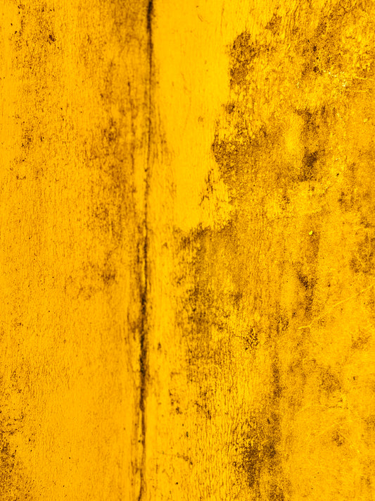 "Ethereal Touches of Gold"-II Fine Art Photography
