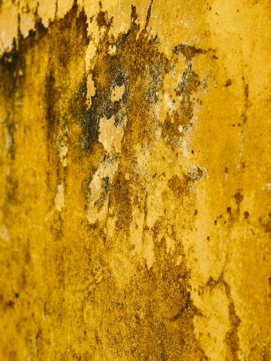 "Ethereal Touches of Gold"-I Fine Art Photography