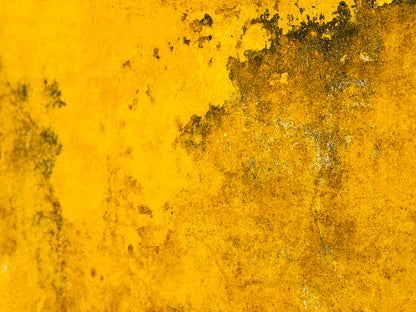 "Ethereal Touches of Gold"-VI Fine Art Photography