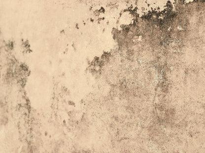 "Subtle Harmony" Fine Art Photography