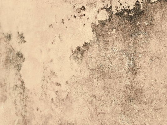 "Subtle Harmony" Fine Art Photography