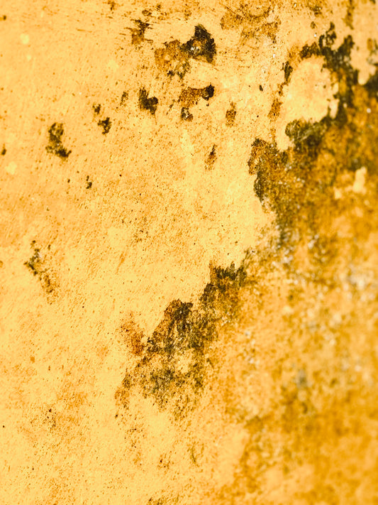 "Ethereal Touches of Gold"-III Fine Art Photography