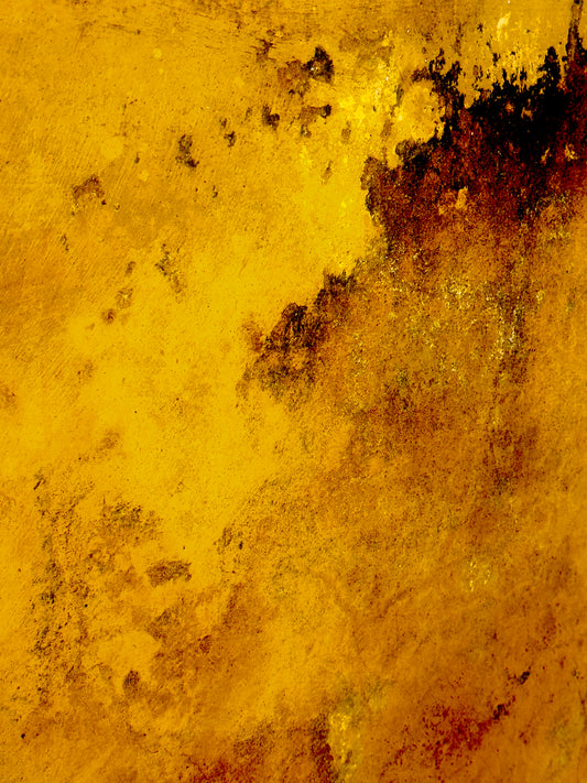 "Ethereal Touches of Gold"-IV Fine Art Photography