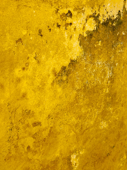 "Ethereal Touches of Gold"-V Fine Art Photography