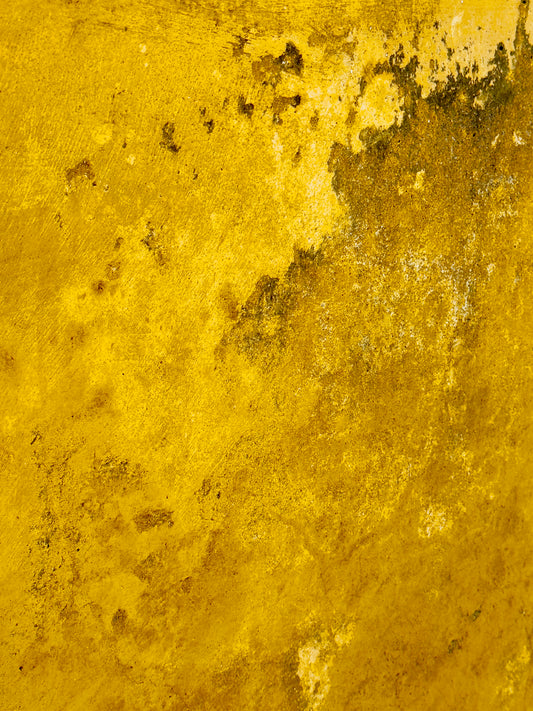 "Ethereal Touches of Gold"-V Fine Art Photography