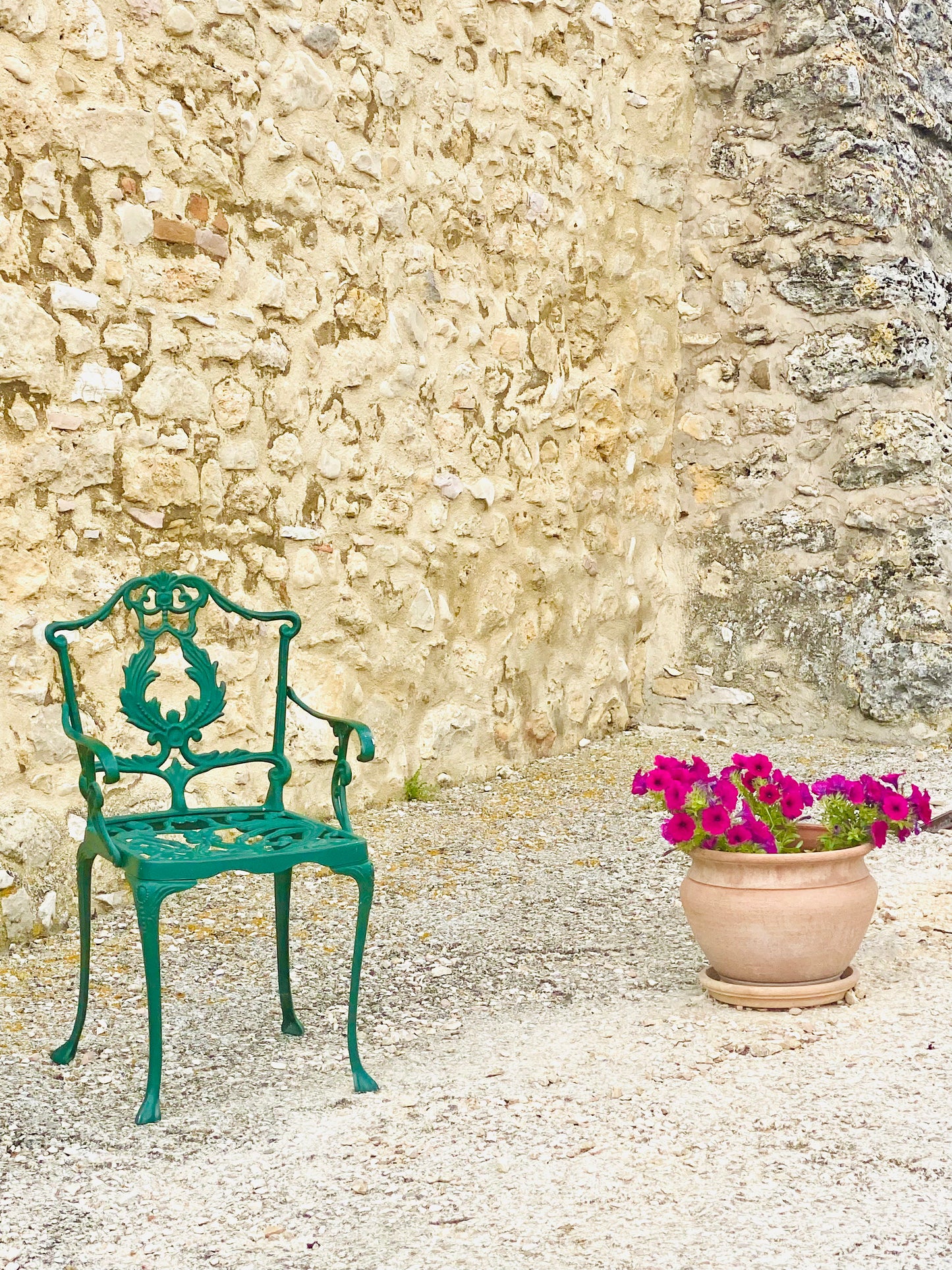 "Quiet Companion" Fine Art Photography